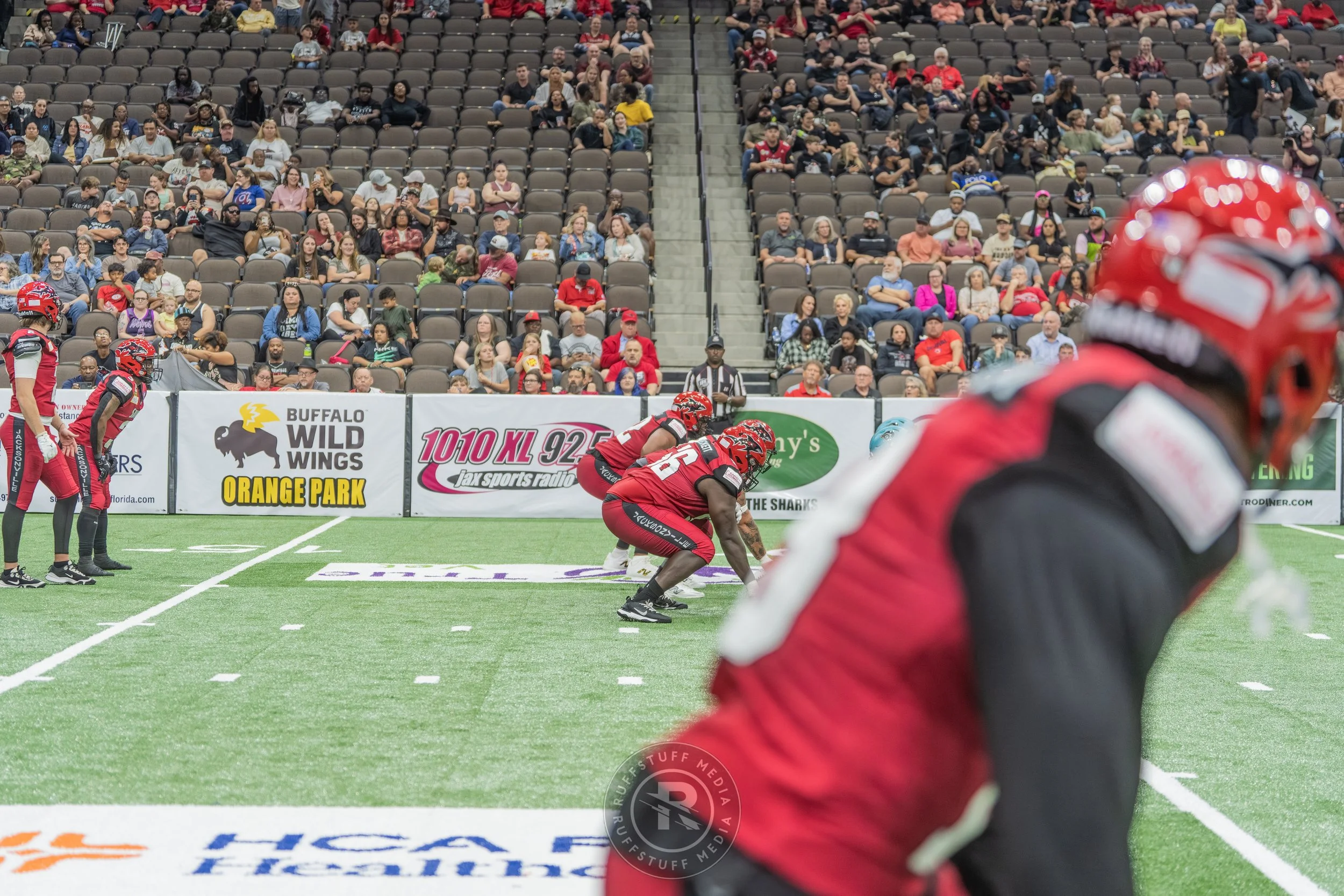 Sharks 260417-483_resize.JPG