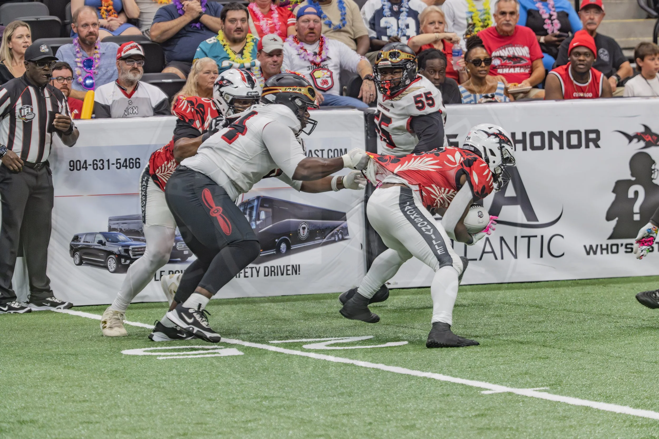 Sharks 260718-126.JPG