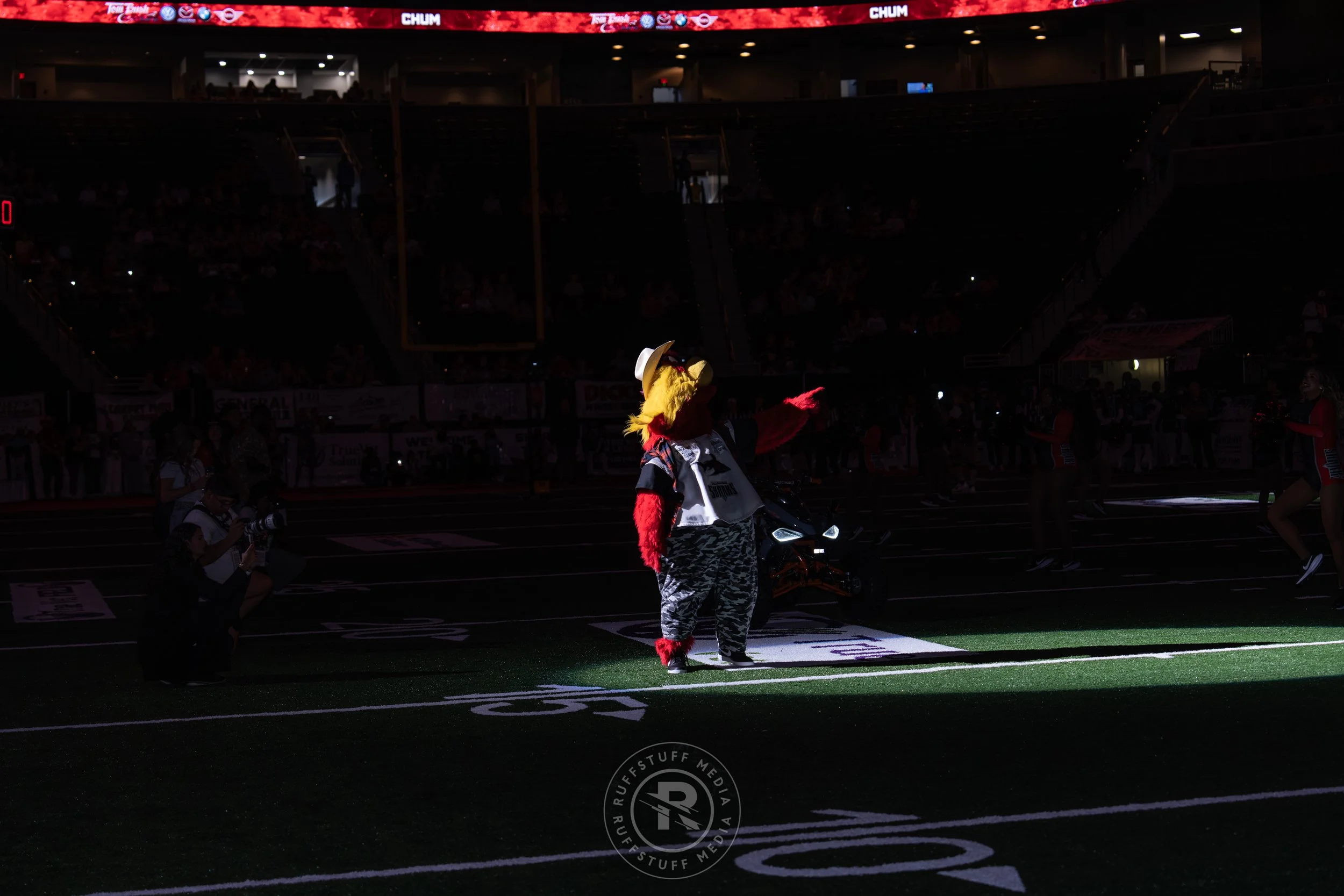 Sharks 260417-46.JPG