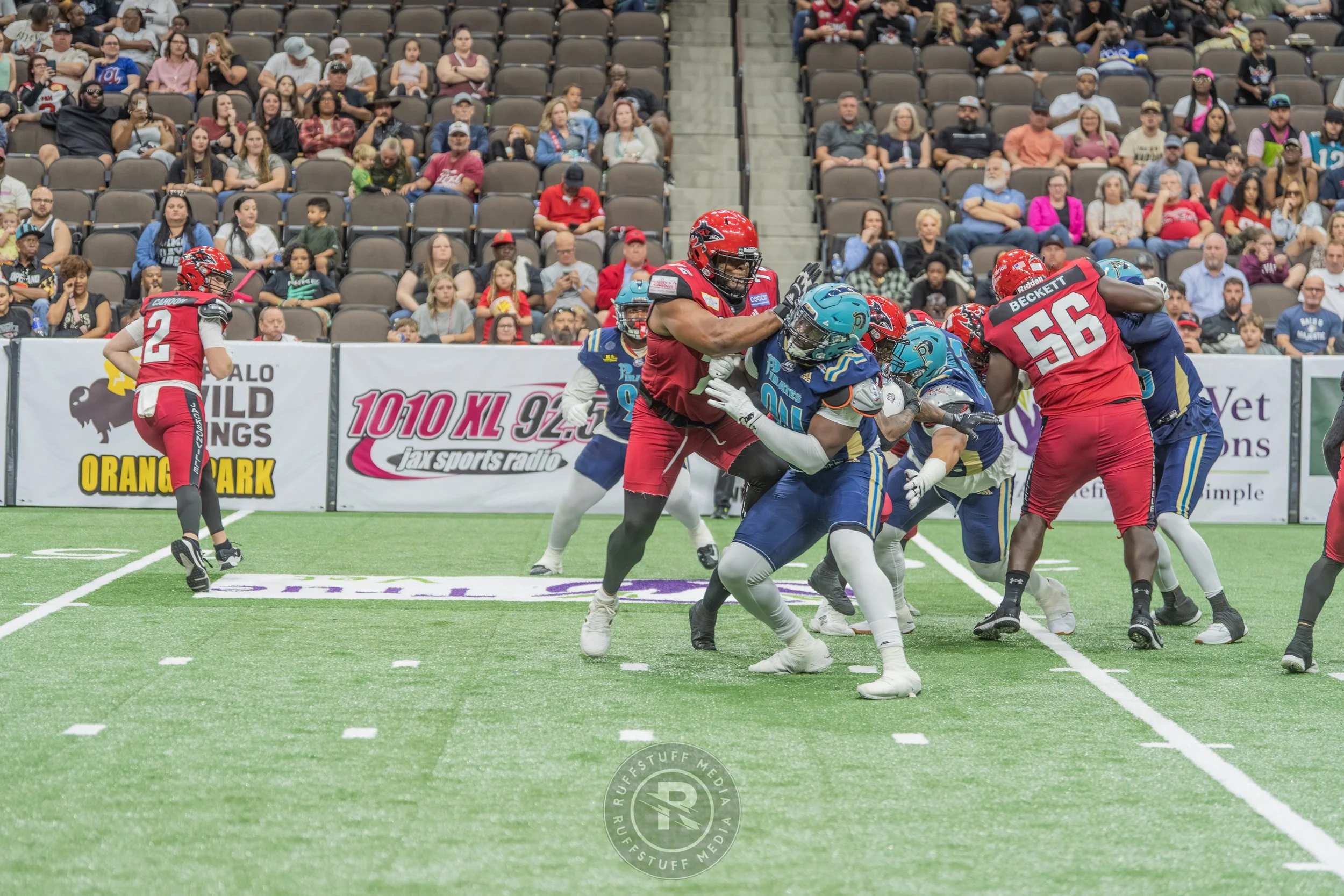 Sharks 260417-486.JPG