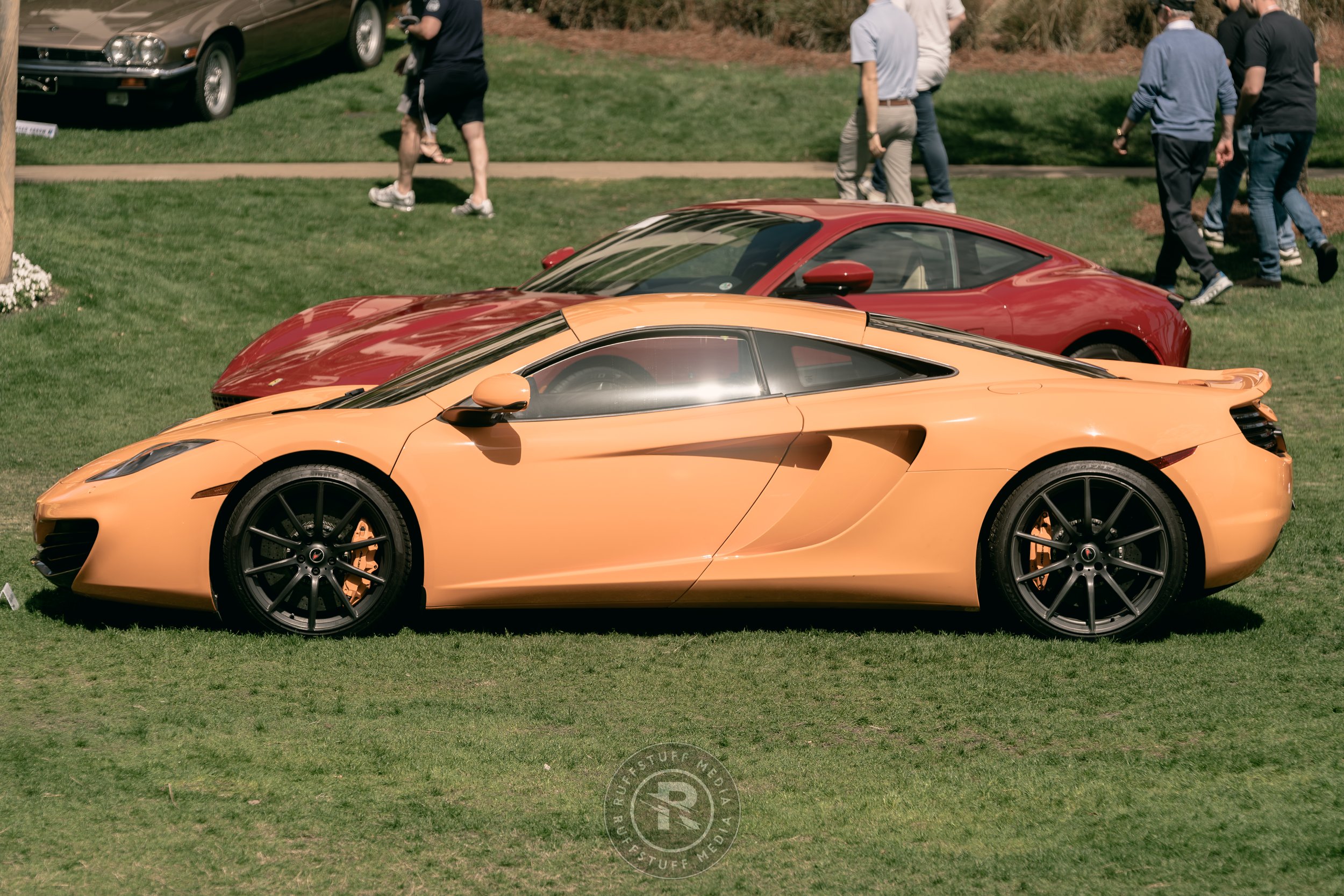 Amelia 260306-78.JPG