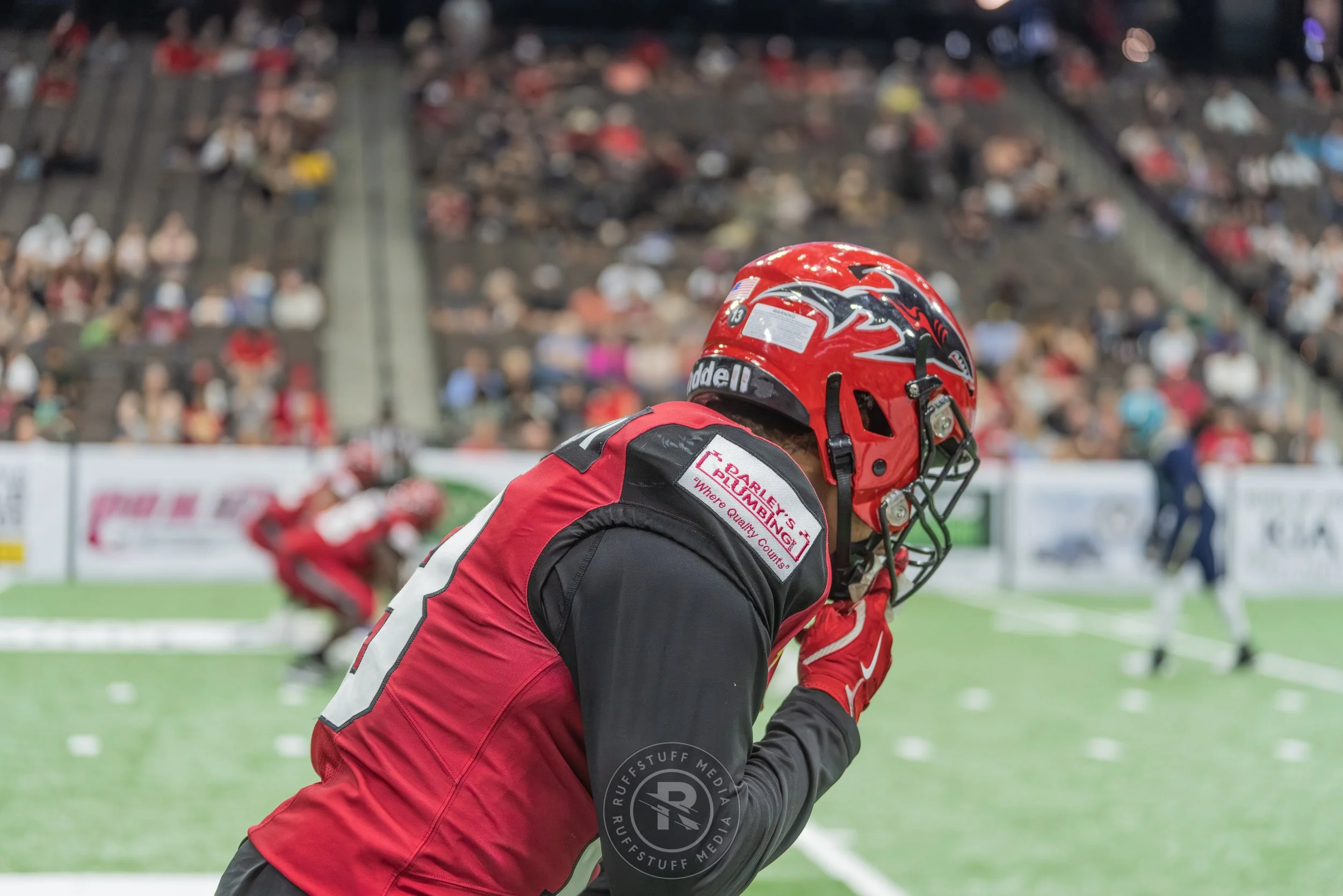 Sharks 260417-482.JPG