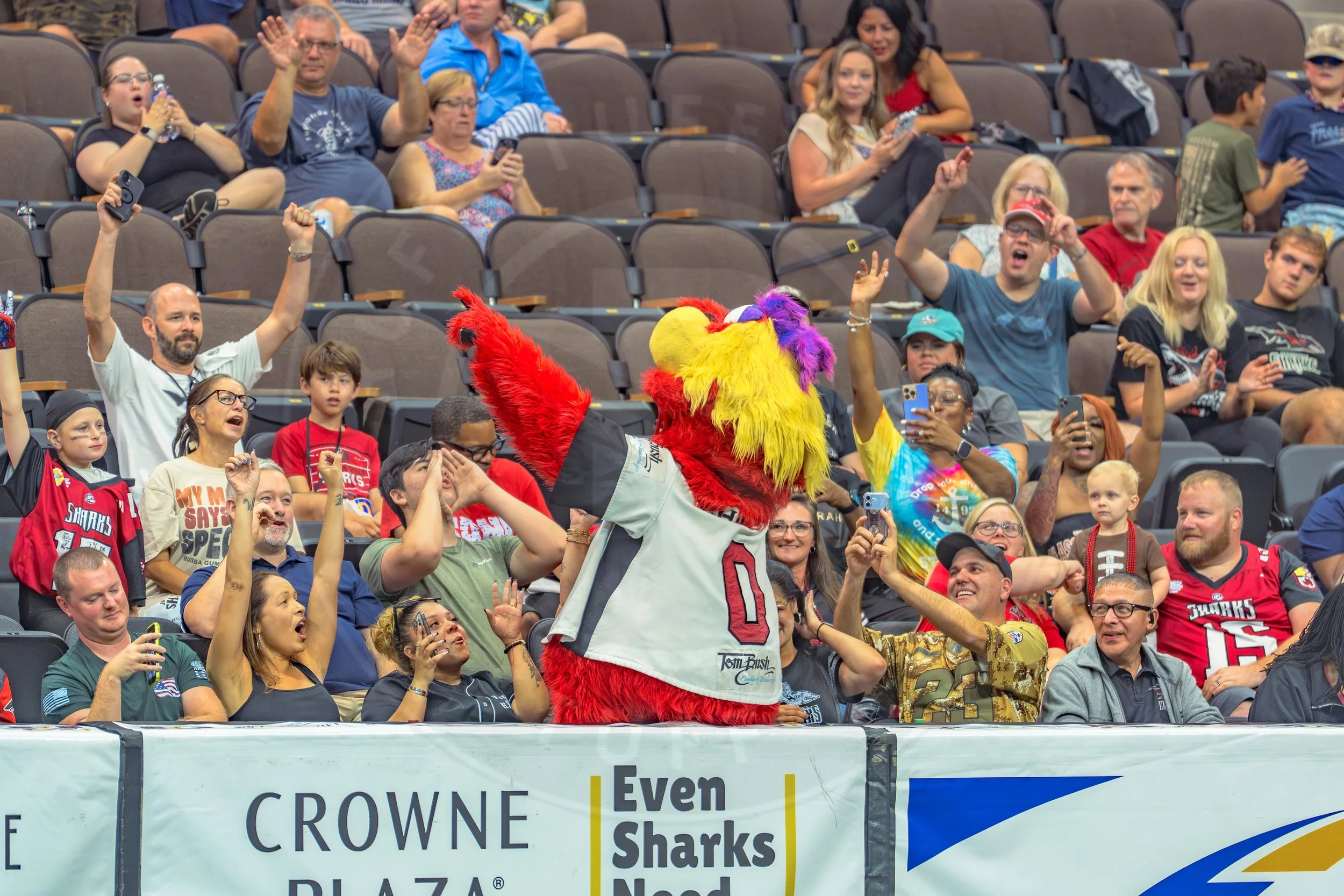 Sharks 260726-214.JPG