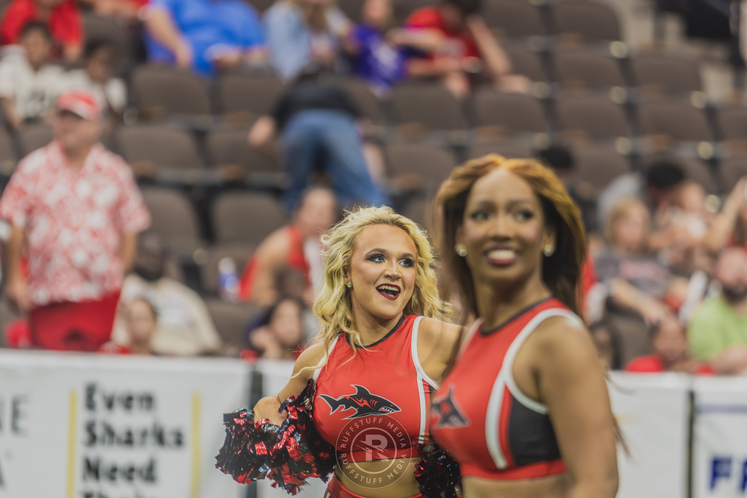 Sharks 260628-248.JPG