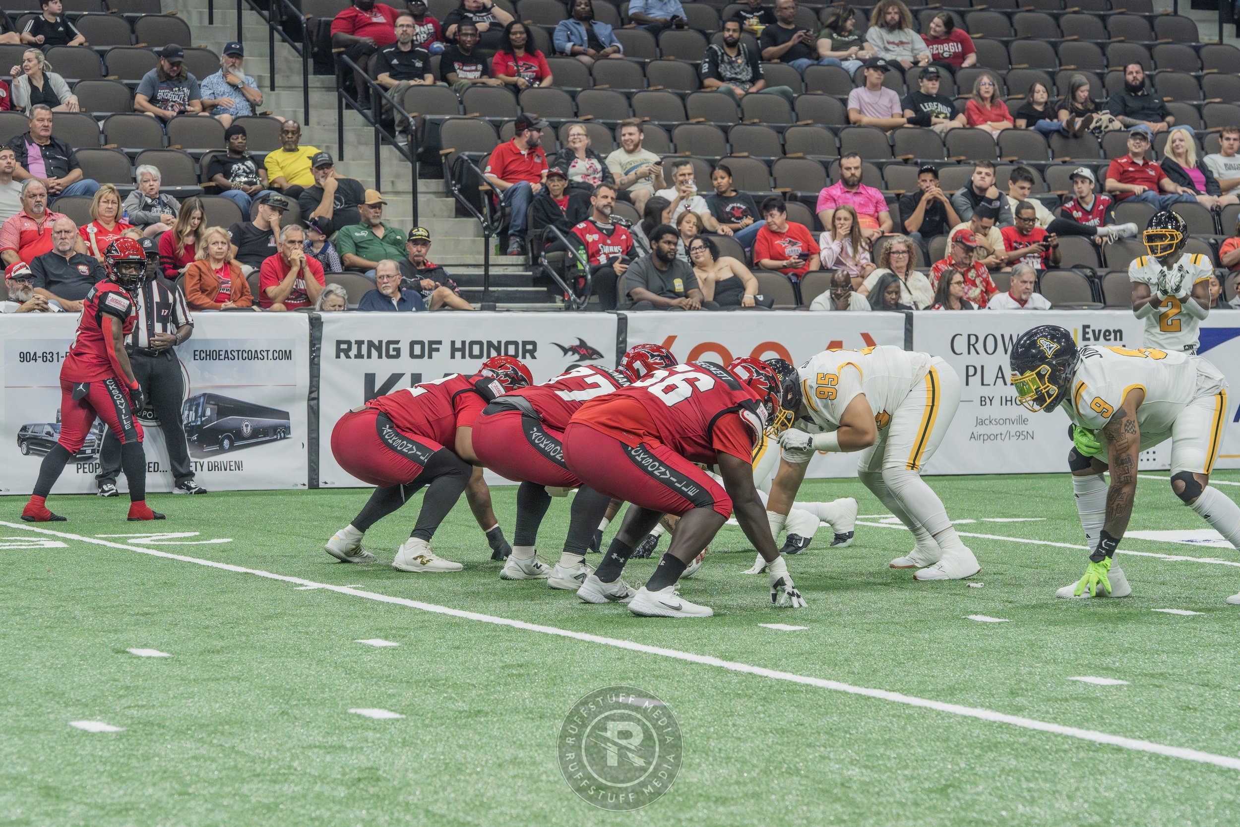 Sharks 260509-174_resize.JPG