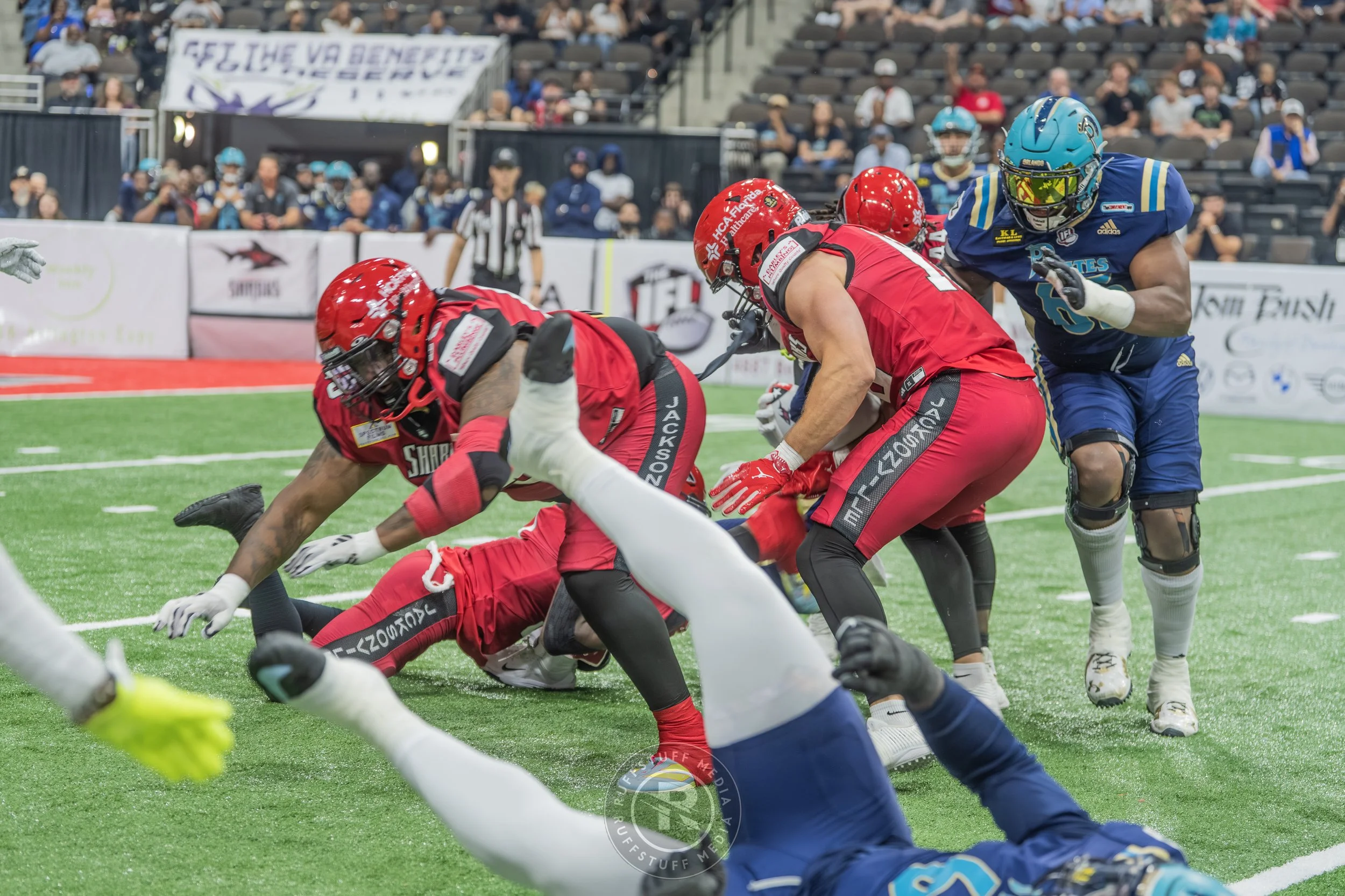 Sharks 260417-115.JPG