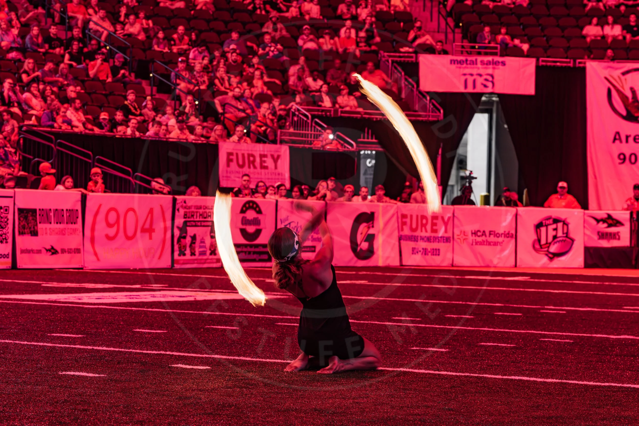 Sharks 260718-199.JPG