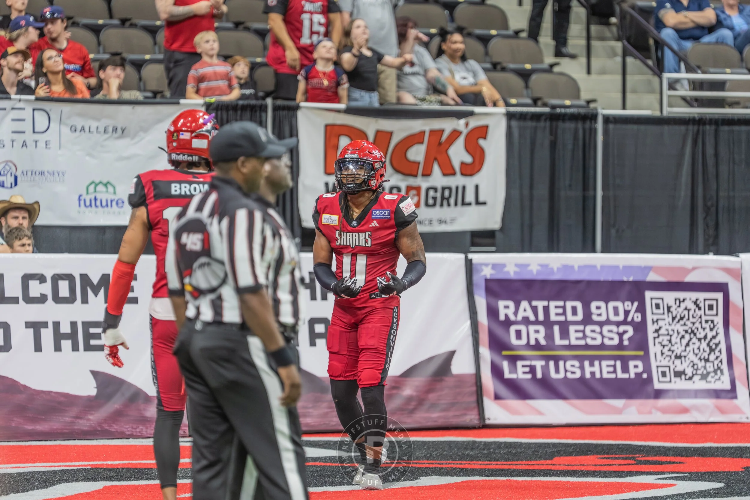 Sharks 260417-540.JPG