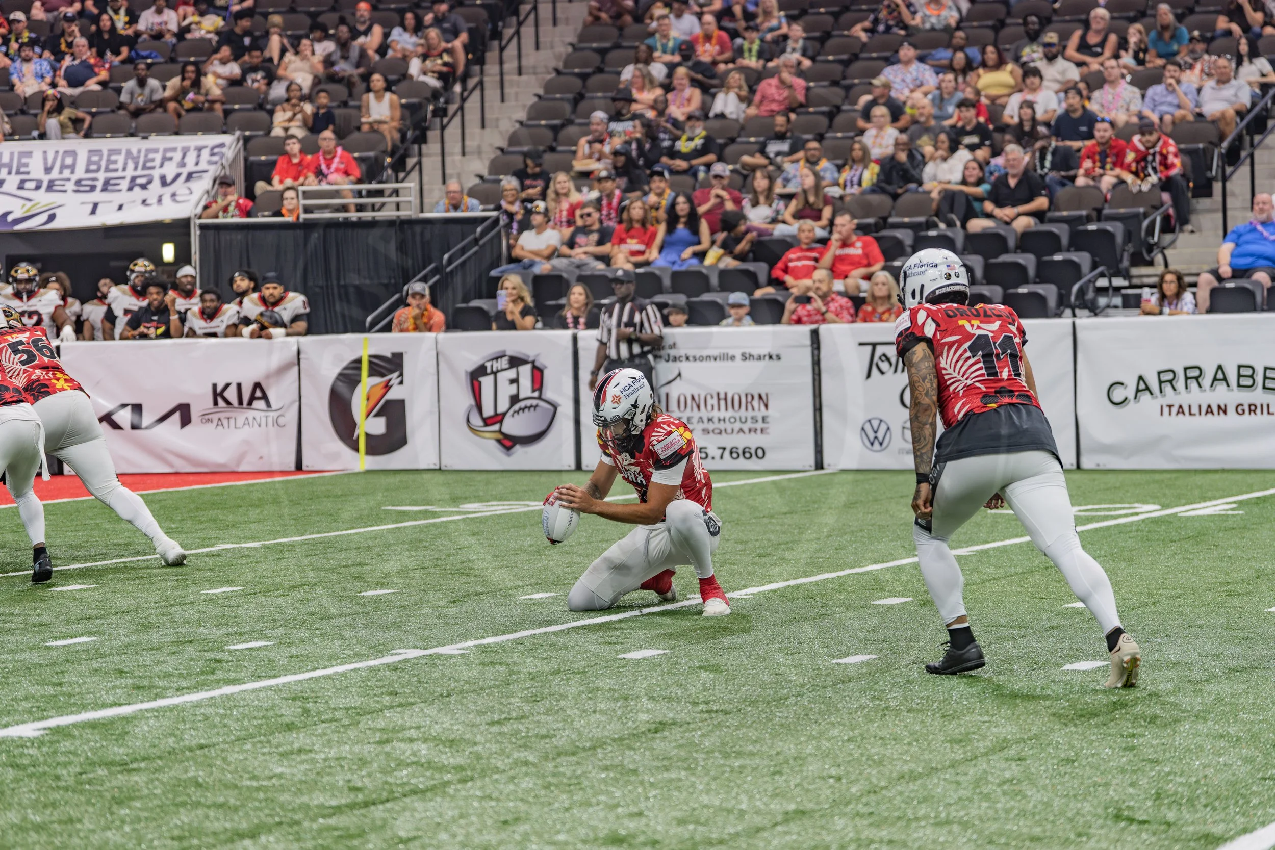 Sharks 260718-41.JPG