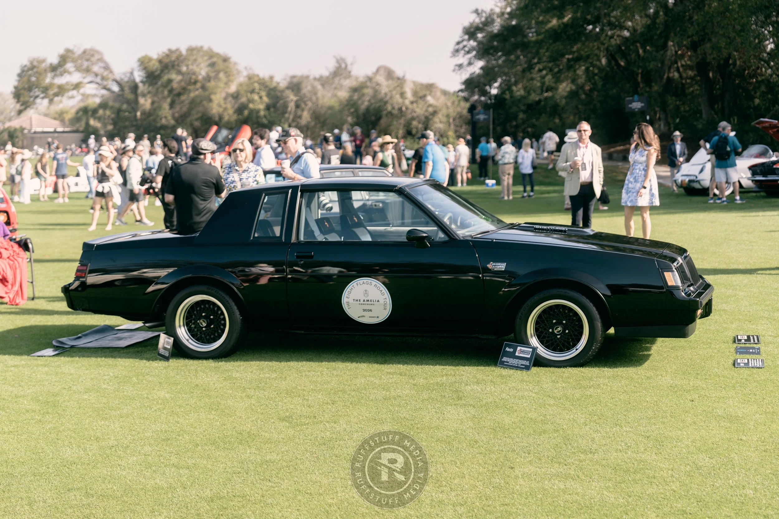 Amelia 260307-78_resize.JPG