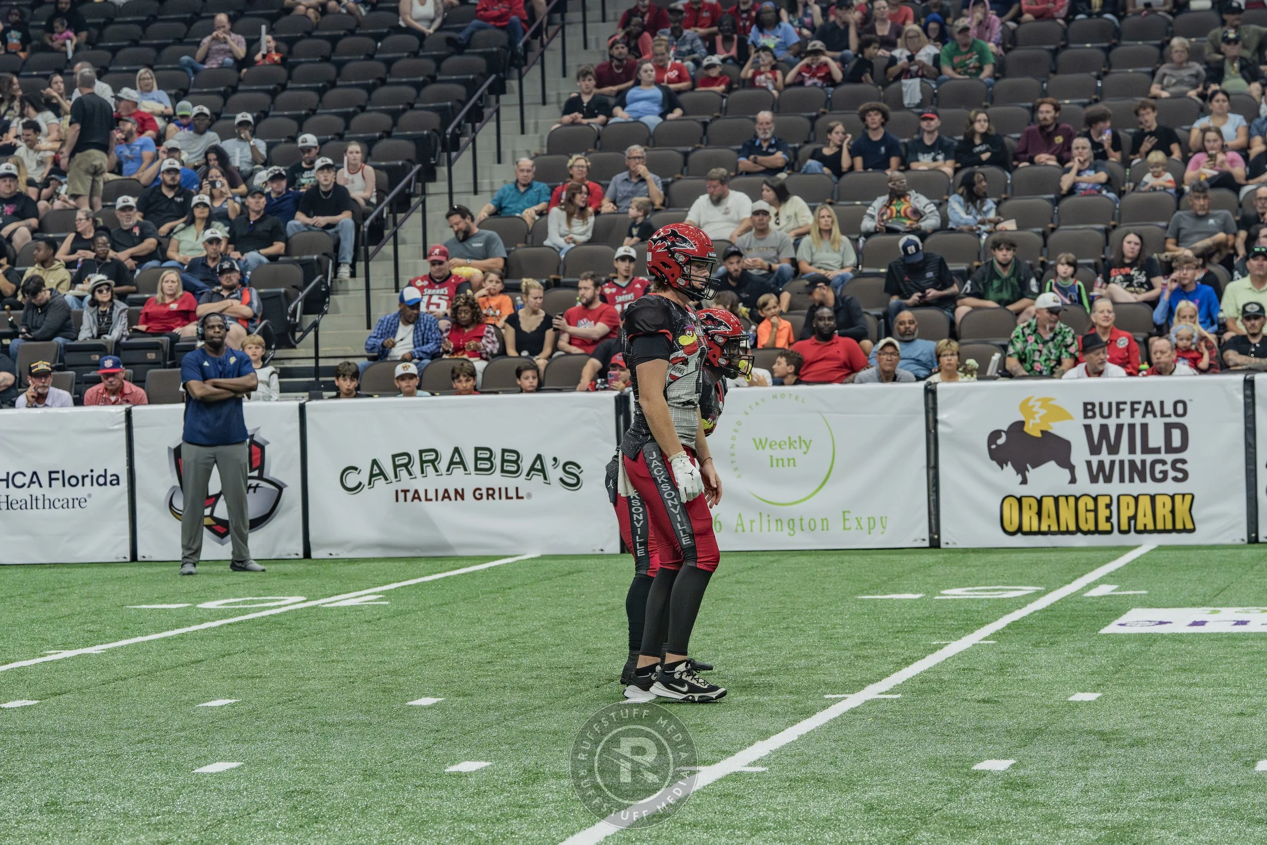 Sharks 260530-255.JPG
