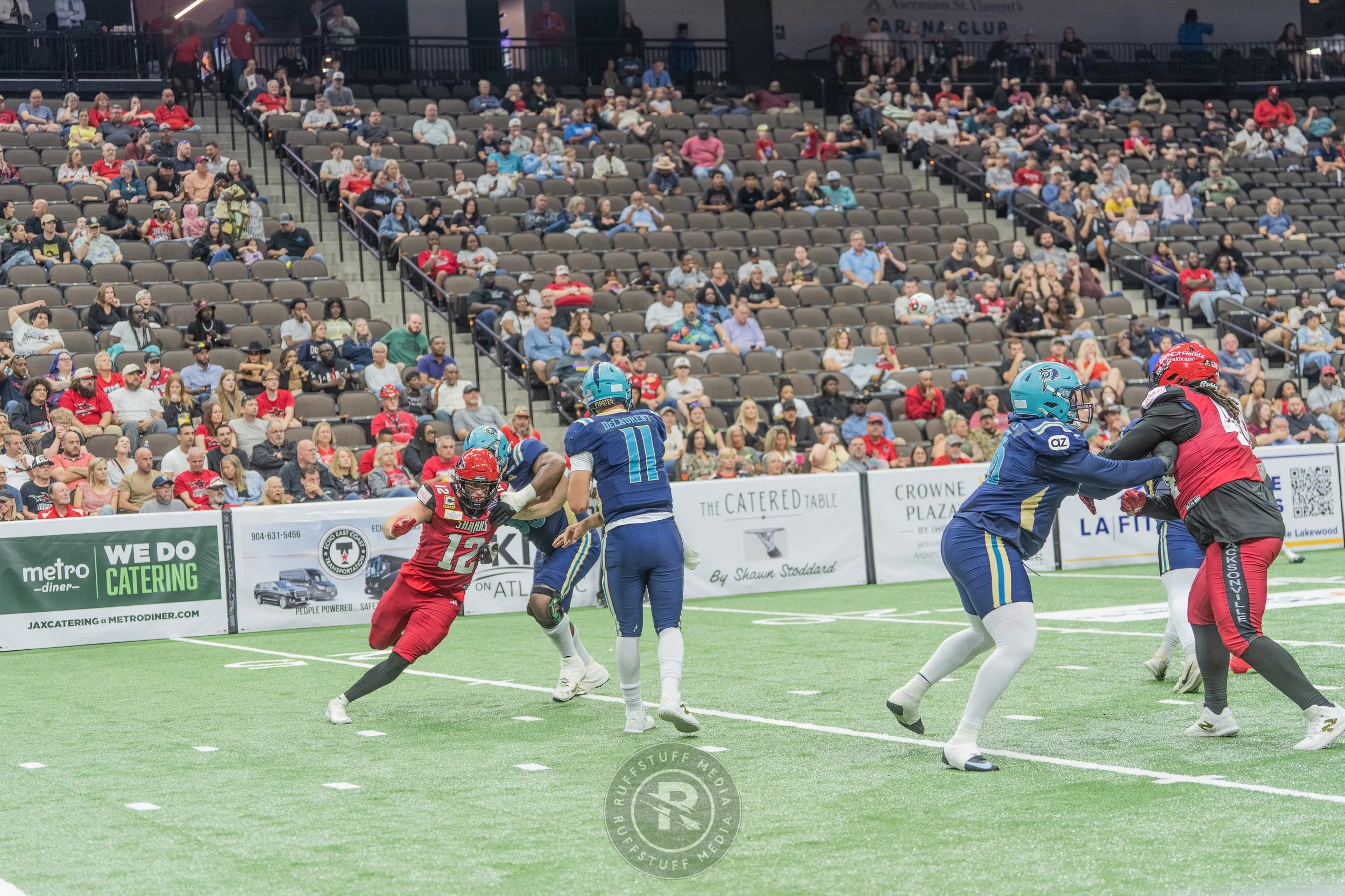 Sharks 260417-397_resize.JPG