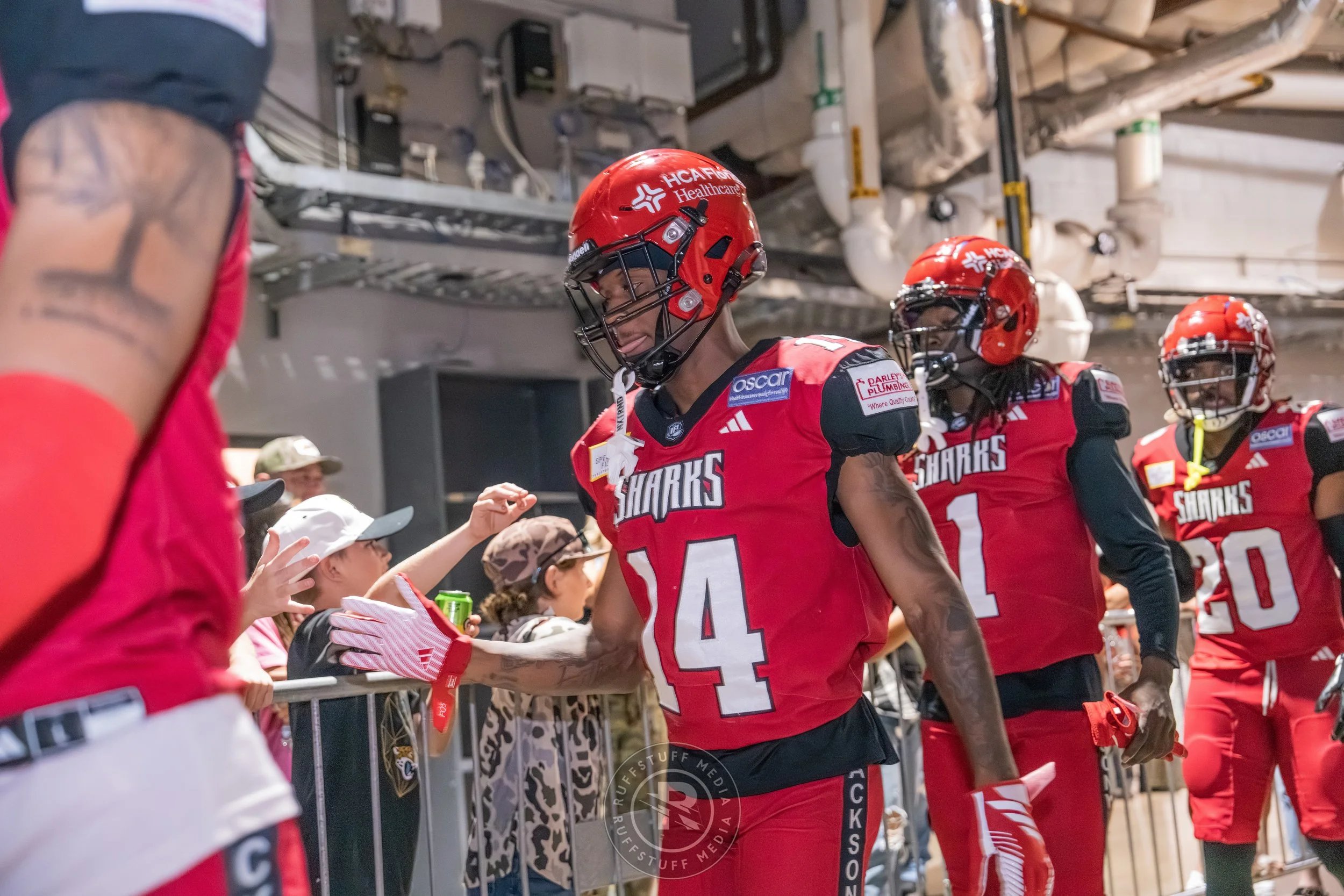 Sharks 260417-31_resize.JPG