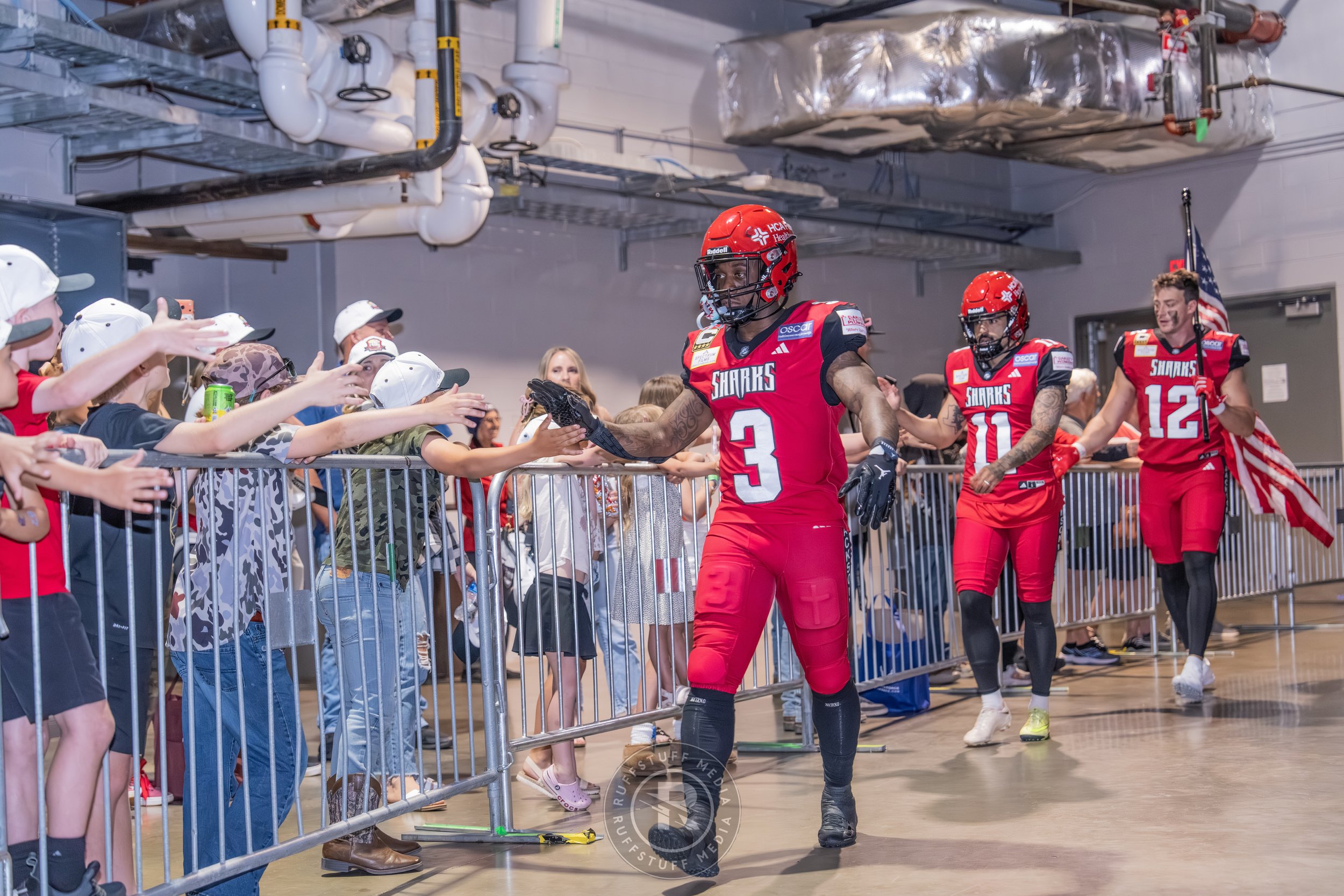 Sharks 260417-38_resize.JPG