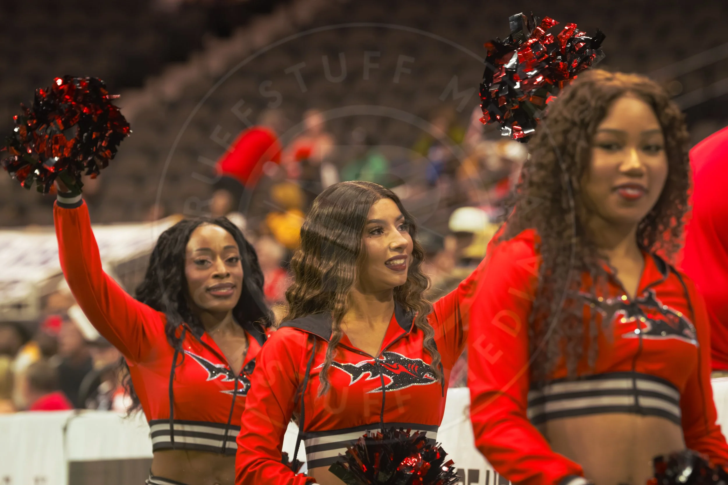 Sharks 260801-14.JPG