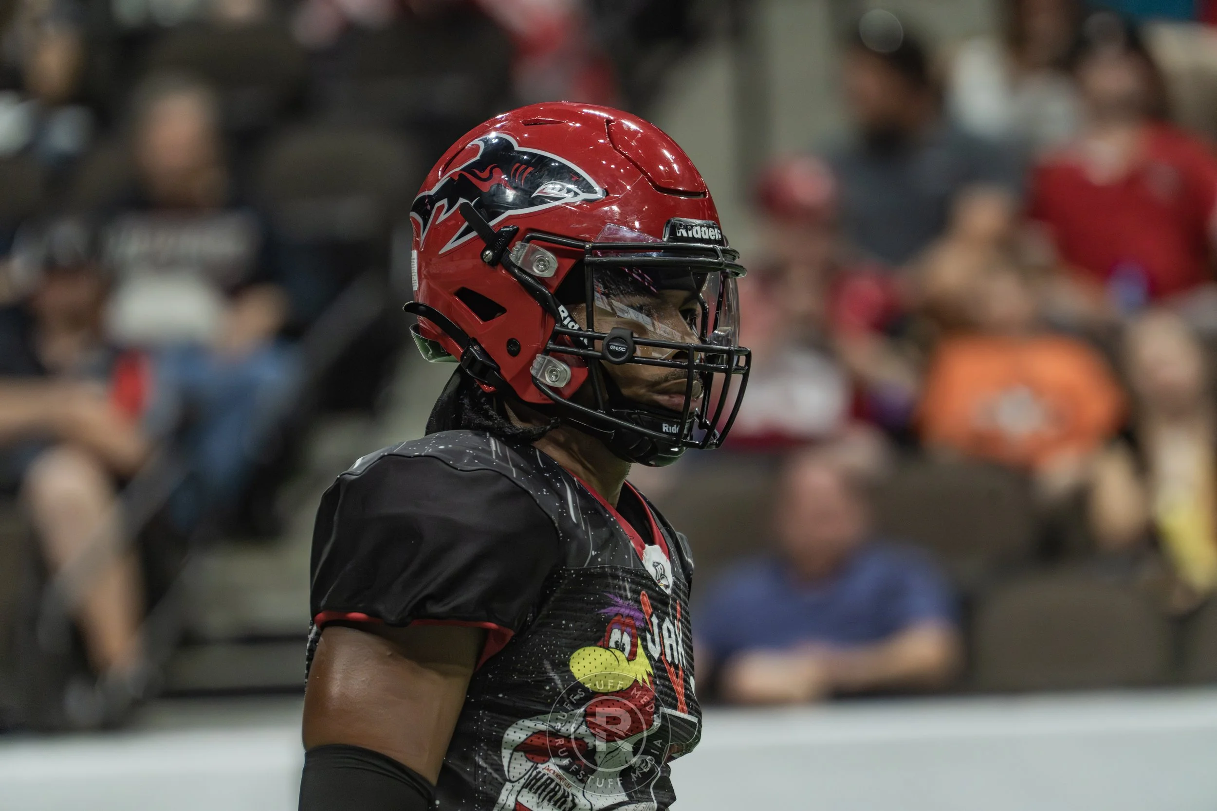 Sharks 260530-624.JPG