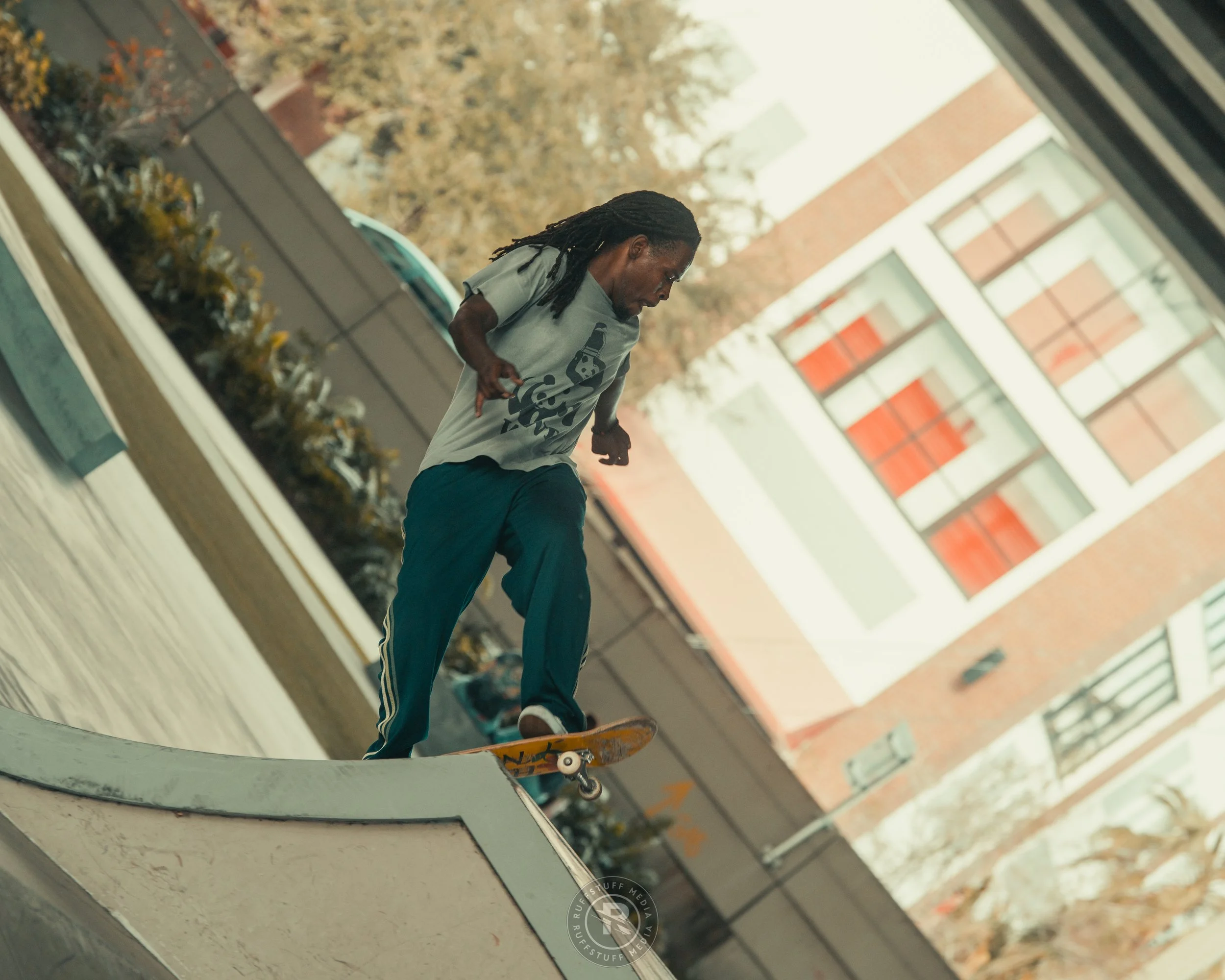 Skate Park 251228-5.JPG