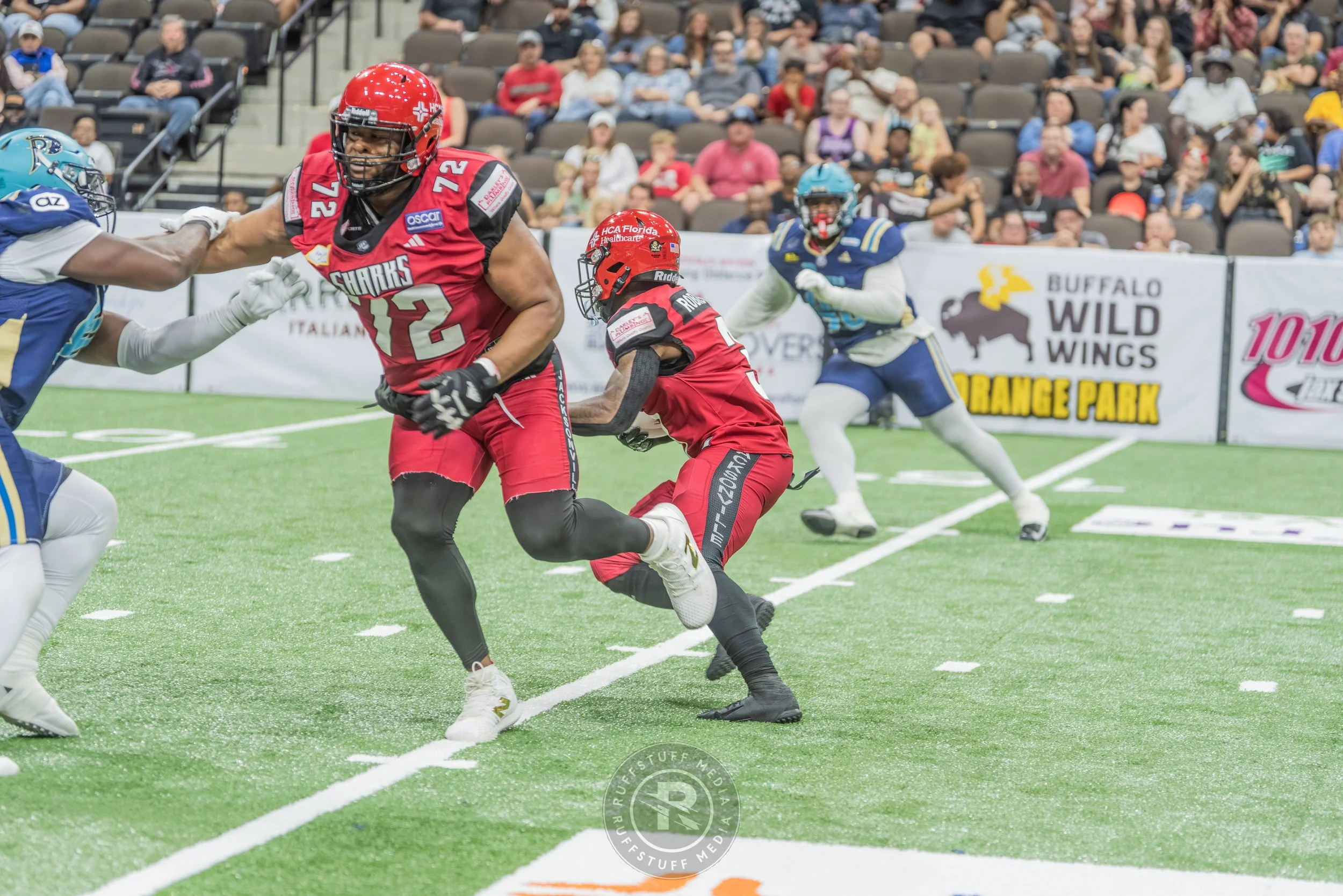 Sharks 260417-439.JPG