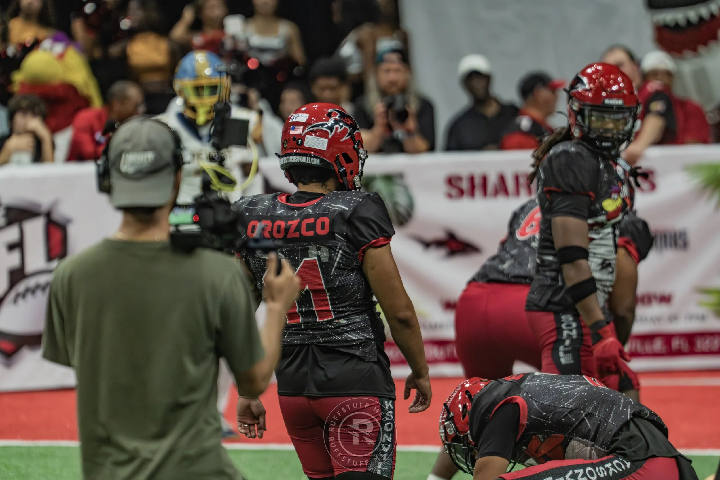 Sharks 260530-669.JPG