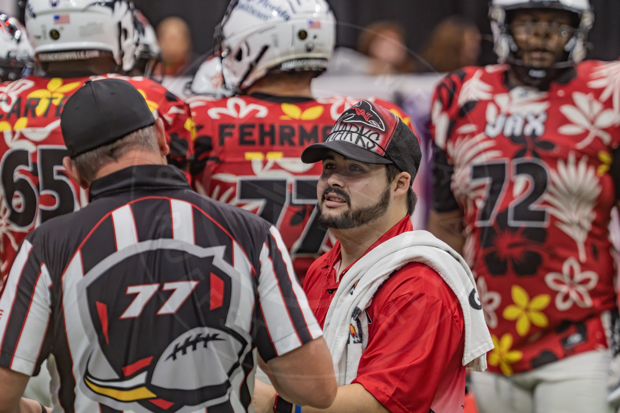 Sharks 260718-155.JPG