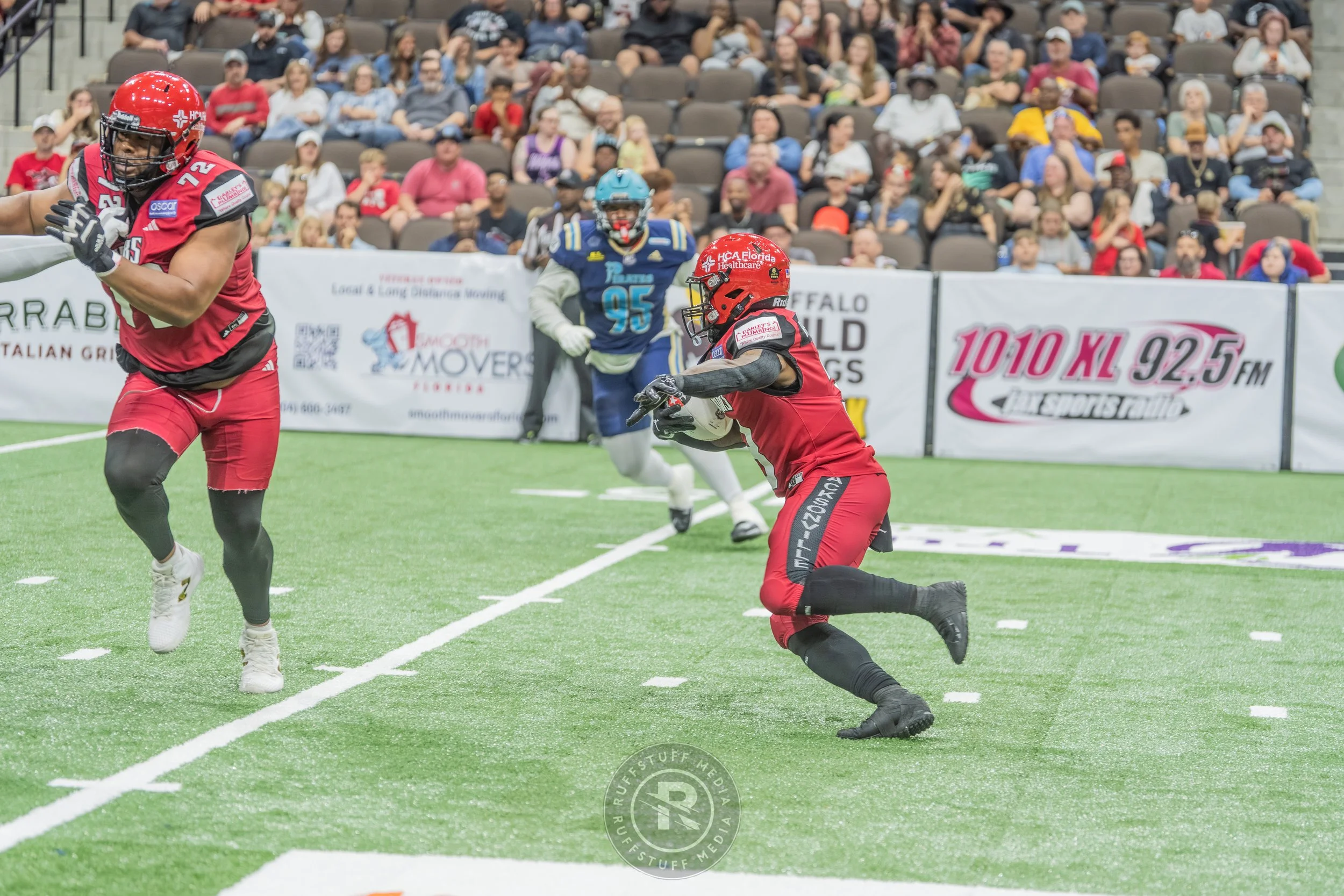 Sharks 260417-438.JPG