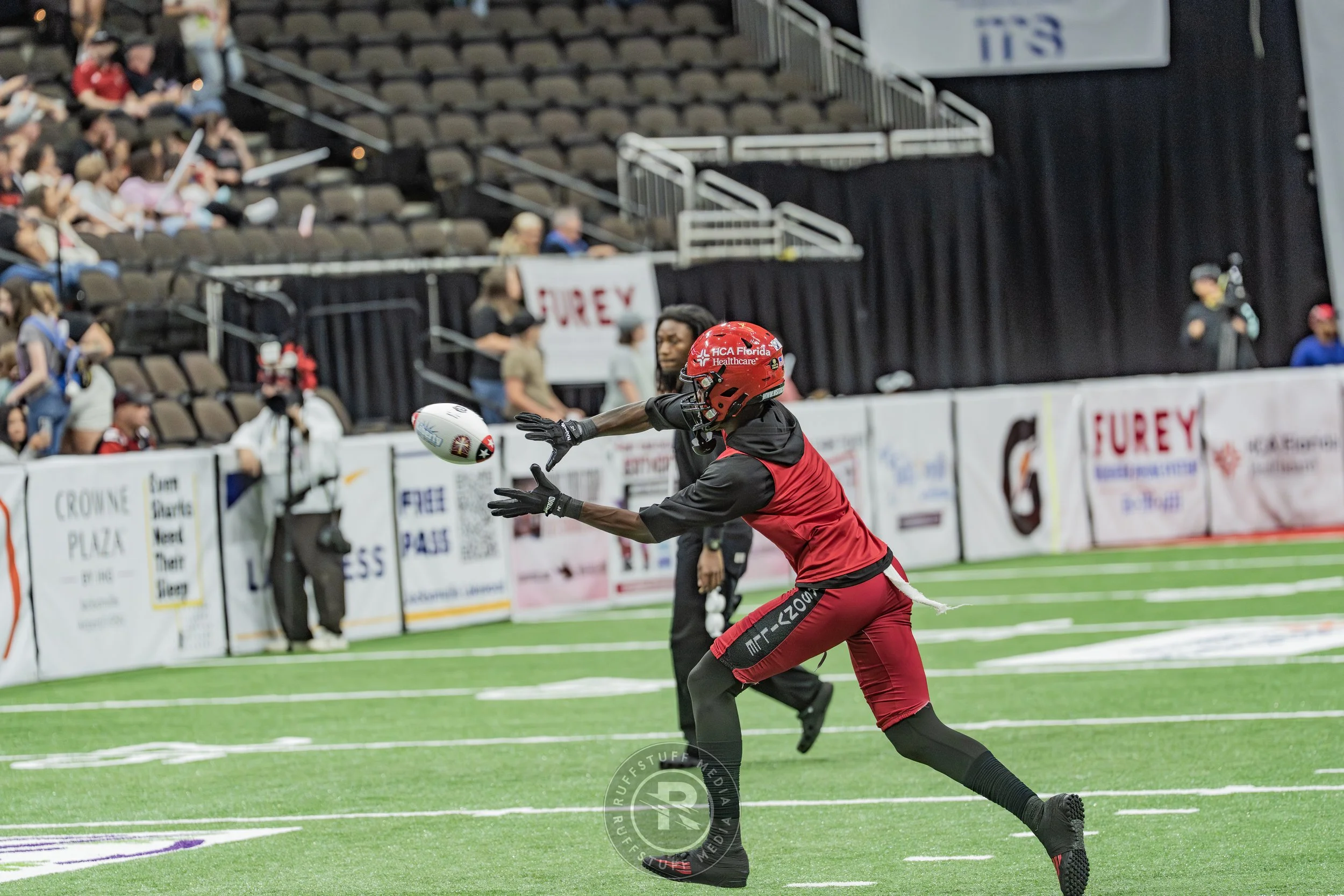 Sharks 260530-34.JPG