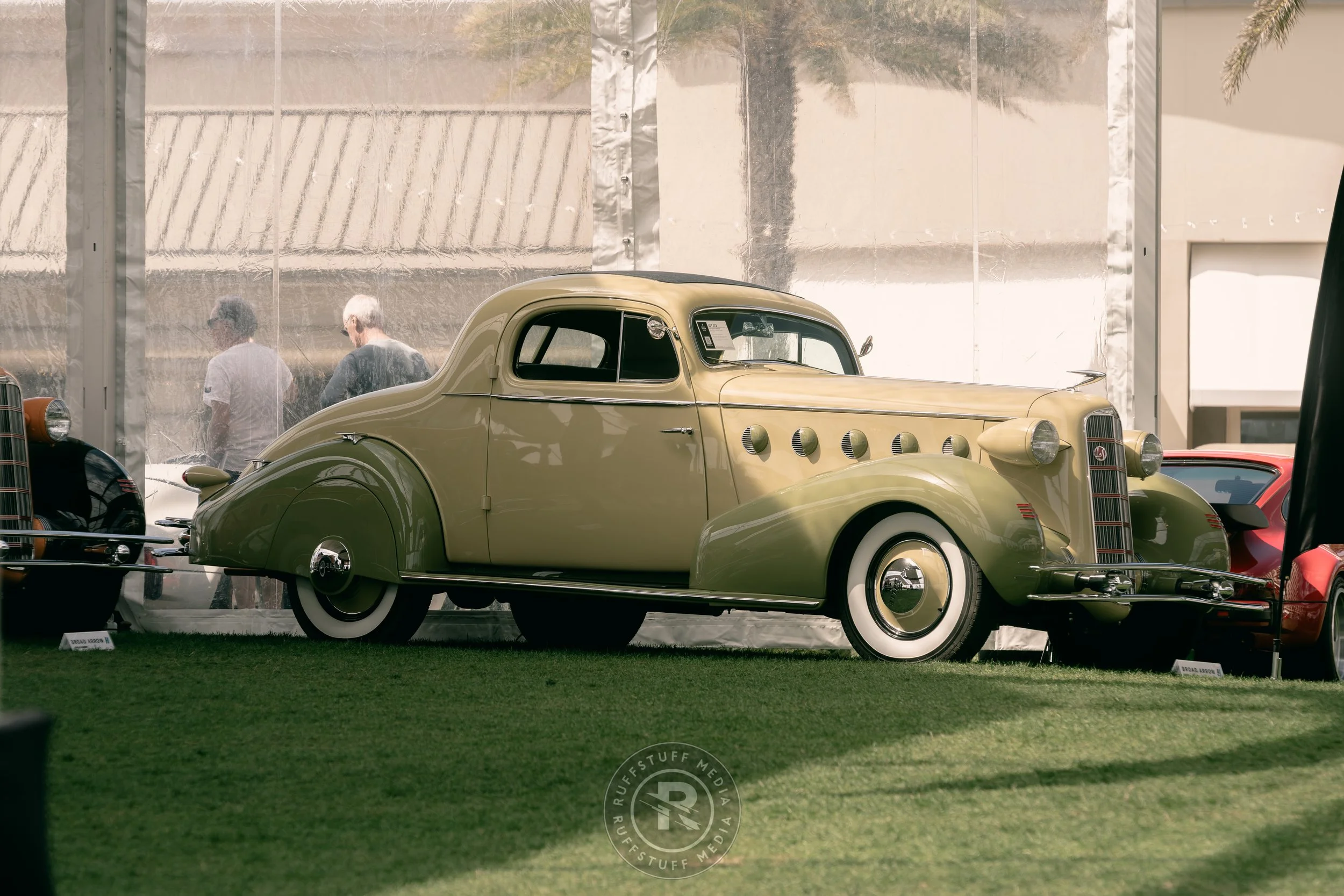 Amelia 260306-73.JPG