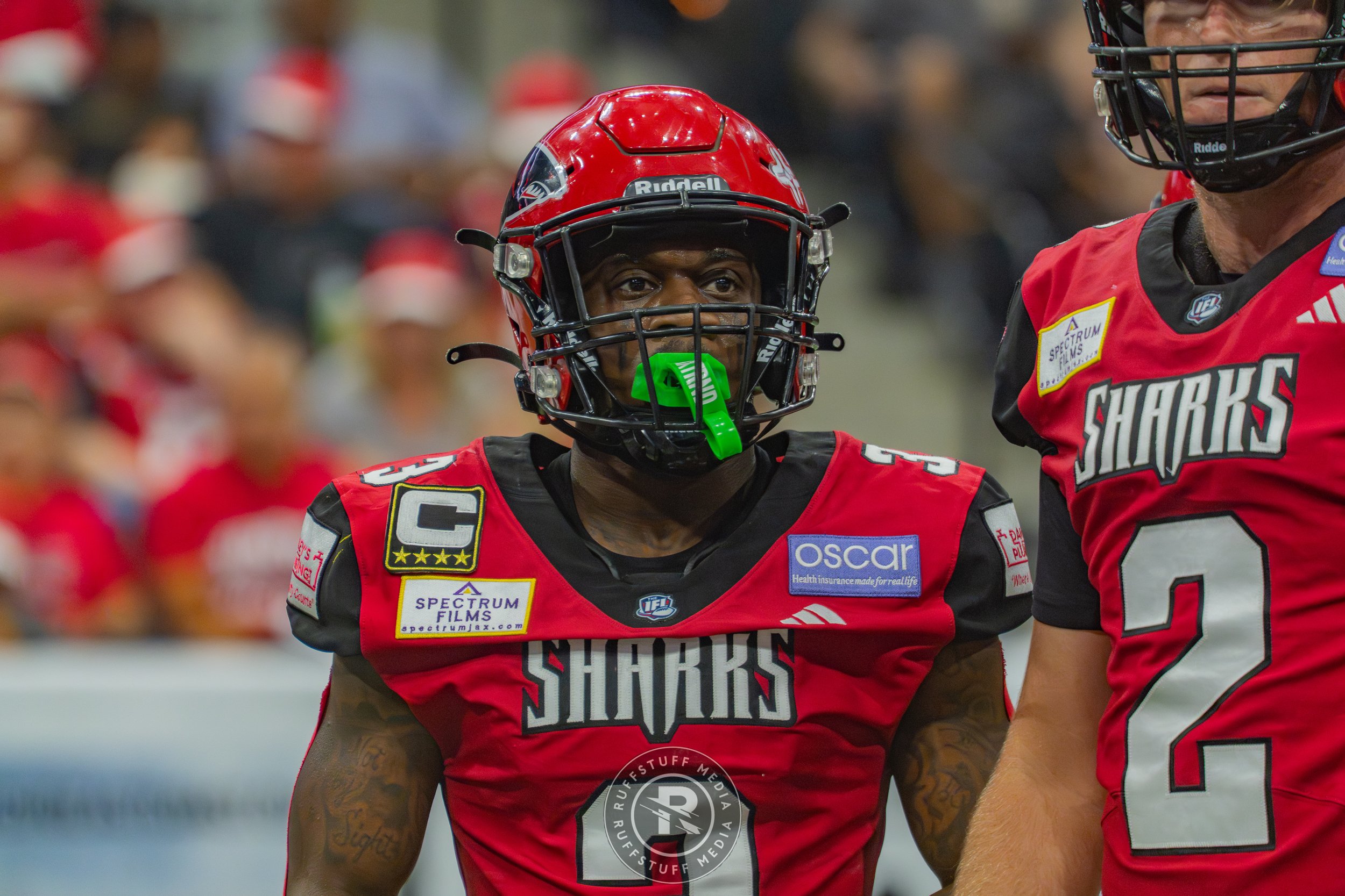 Sharks 260606-295.jpg