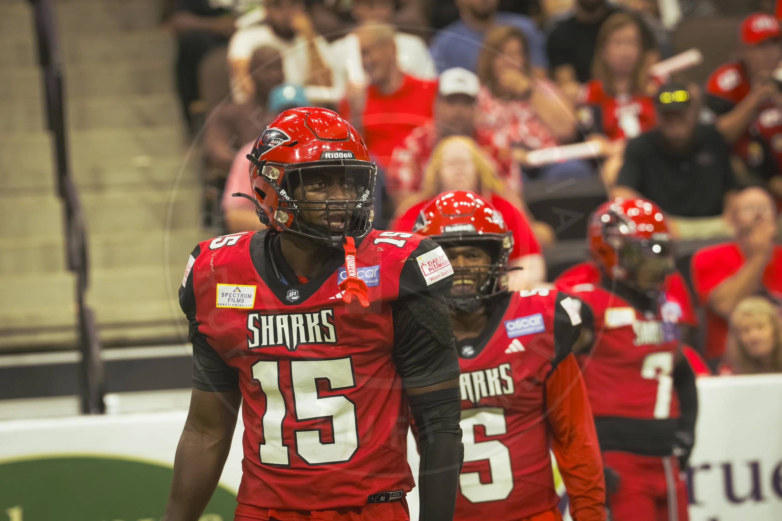 Sharks 260801-132.JPG