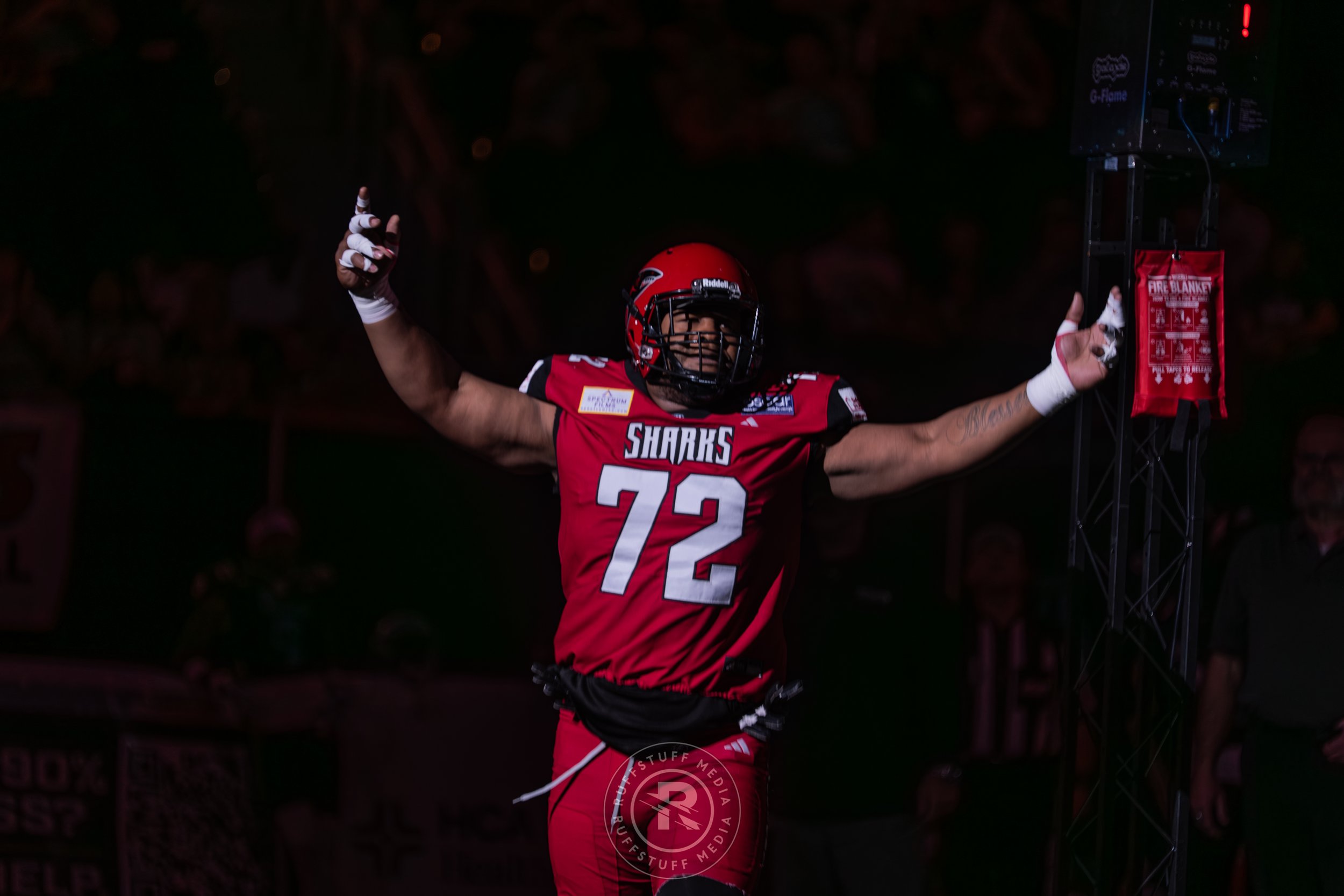 Sharks 260417-80.JPG