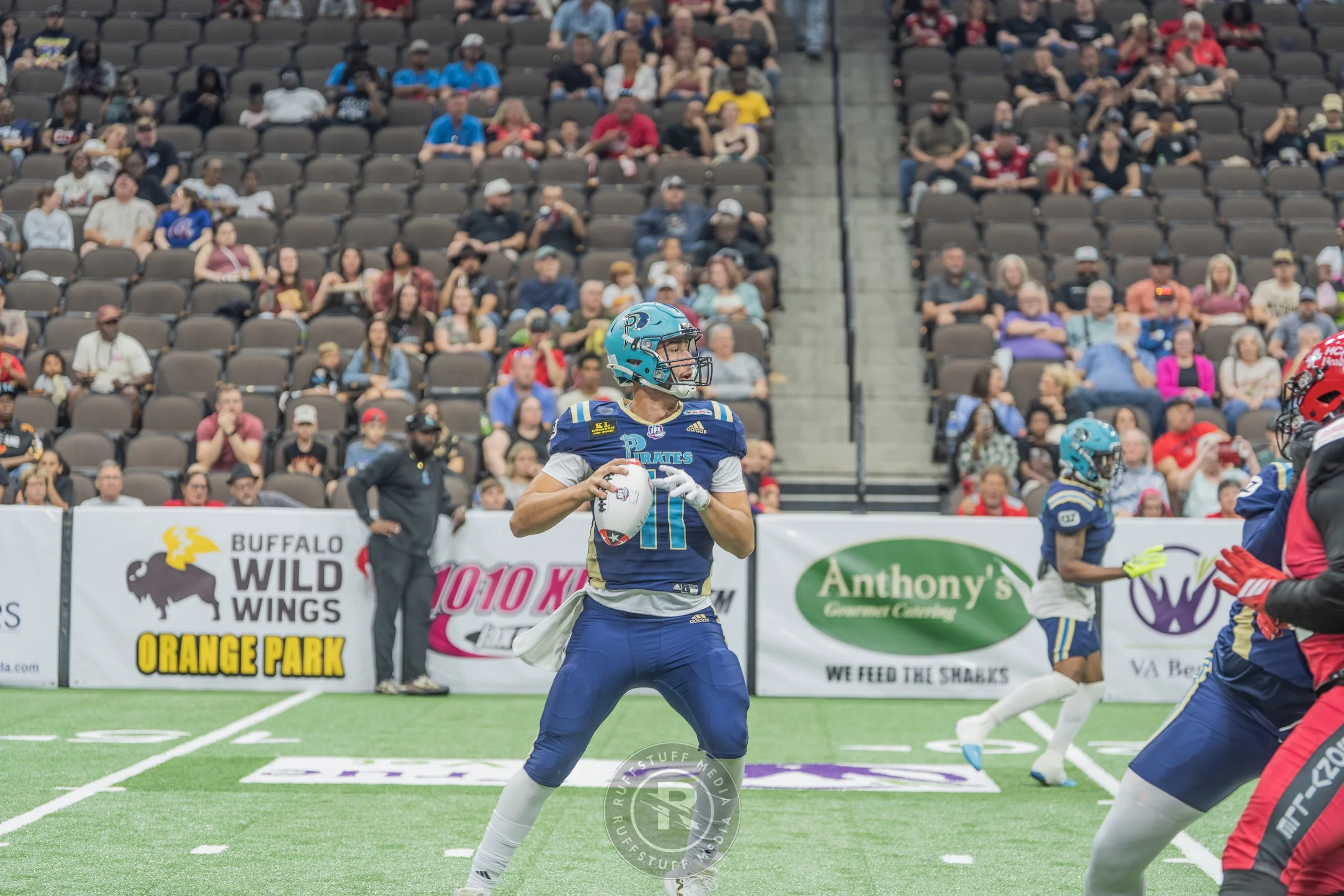 Sharks 260417-156.JPG