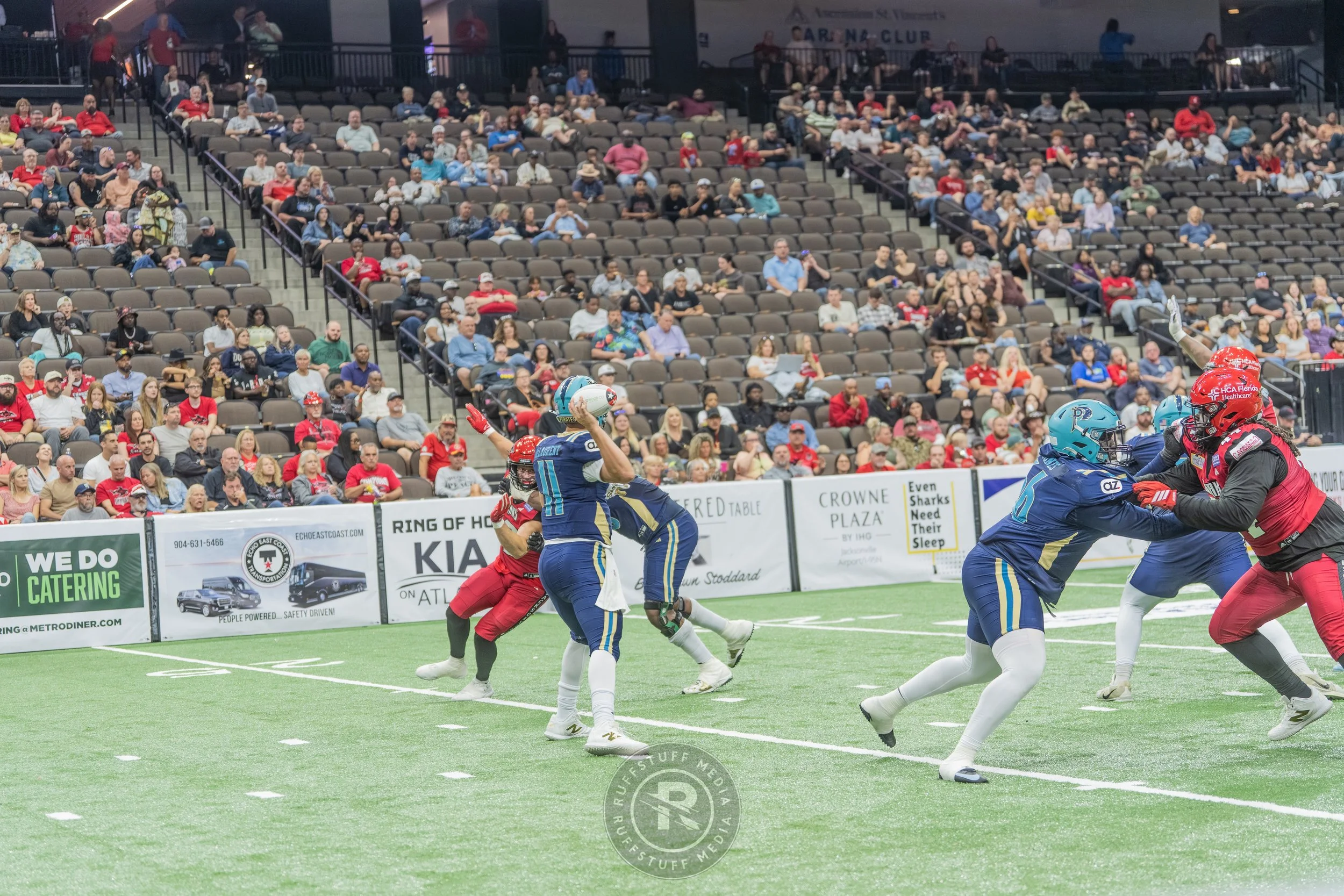 Sharks 260417-396_resize.JPG