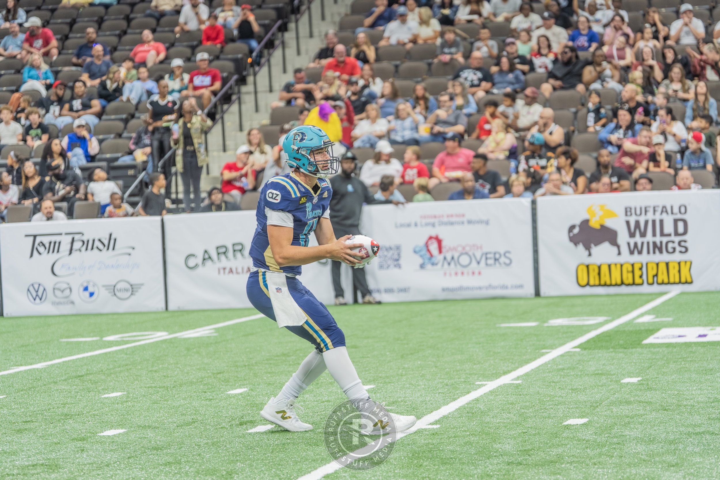 Sharks 260417-393.JPG