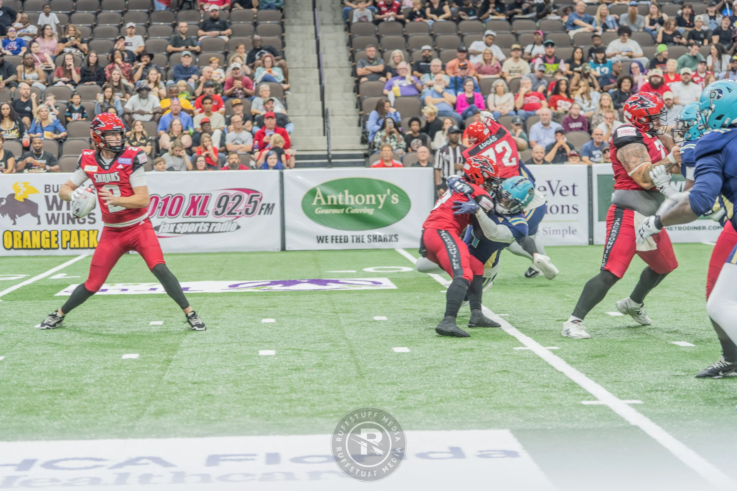 Sharks 260417-167.JPG