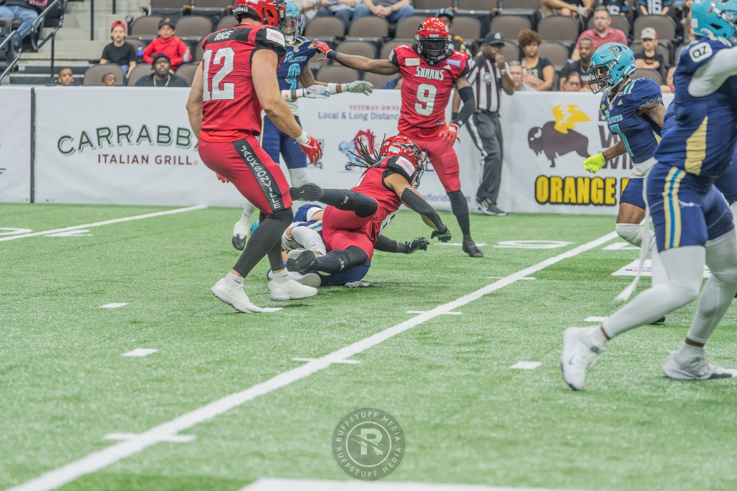 Sharks 260417-112.JPG