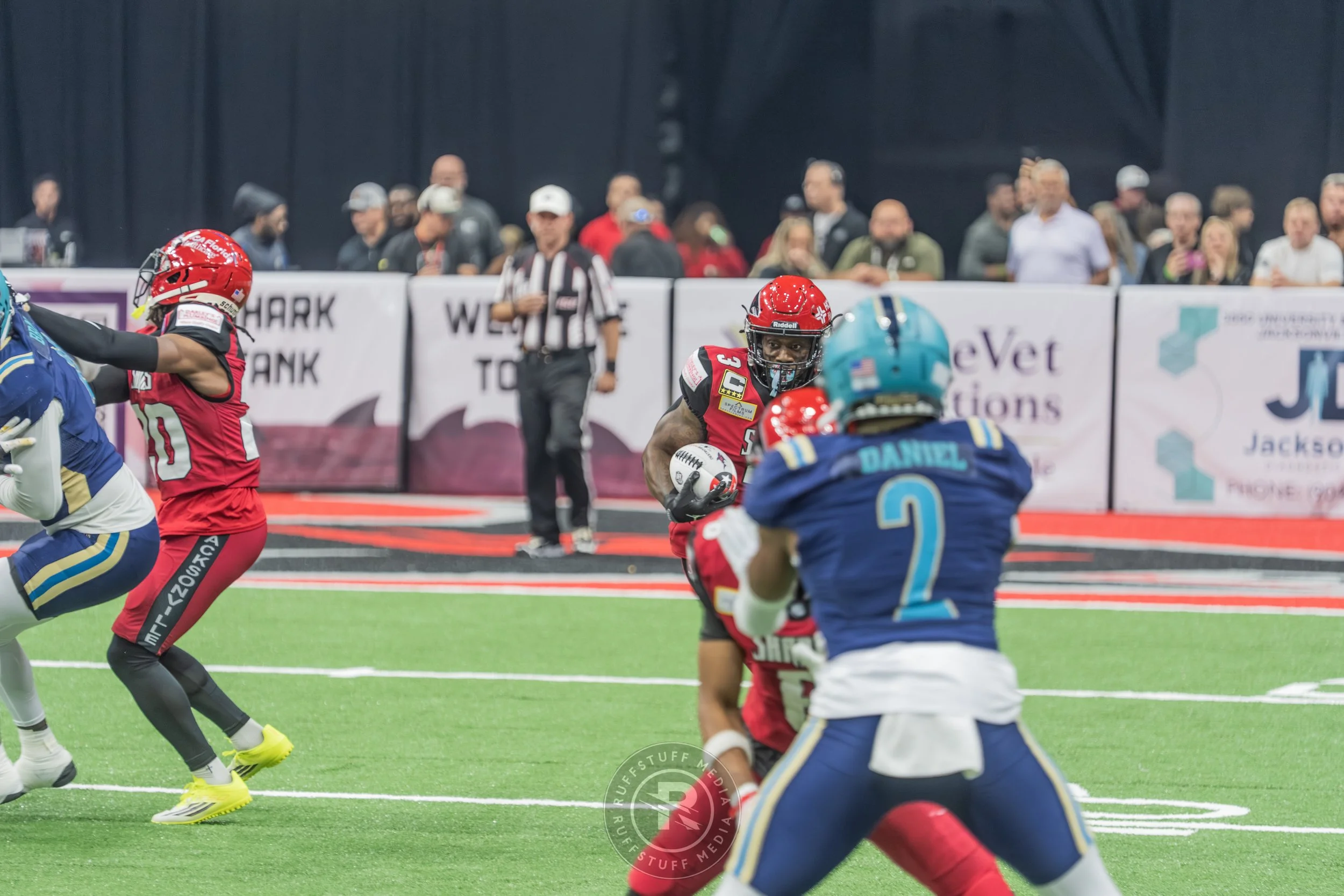 Sharks 260417-96.JPG