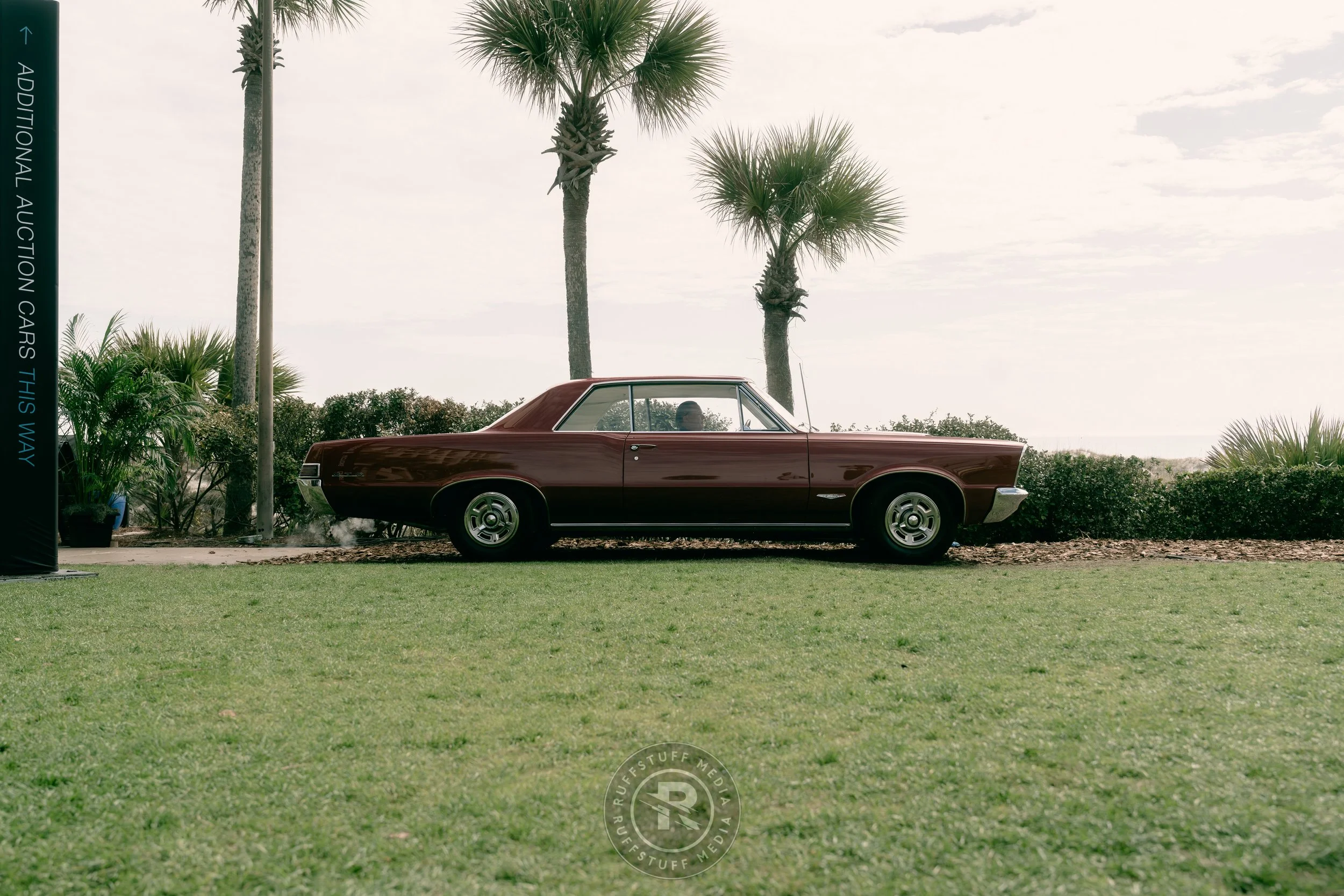 Amelia 260306-53_resize.JPG