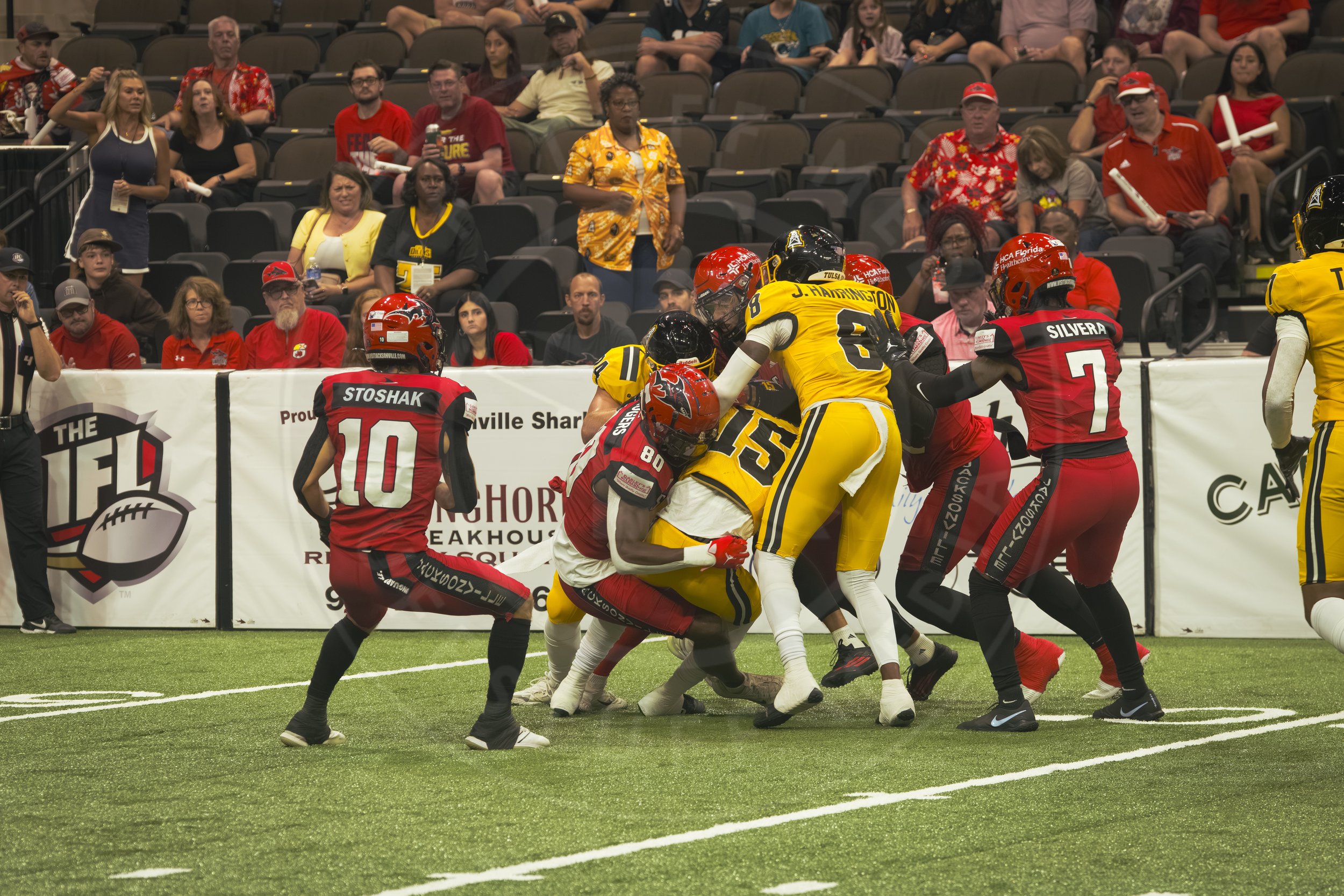 Sharks 260801-78.JPG