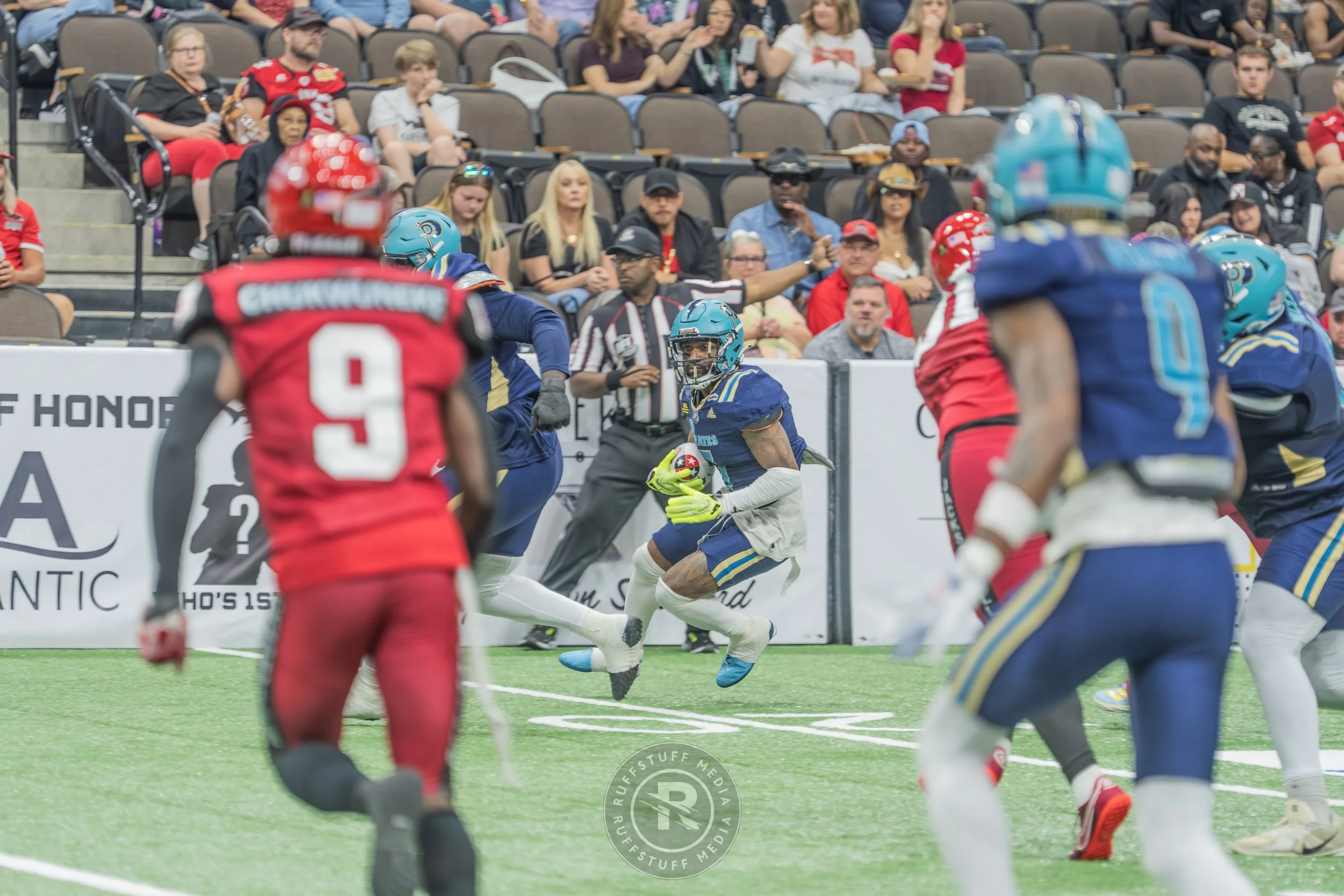 Sharks 260417-179.JPG