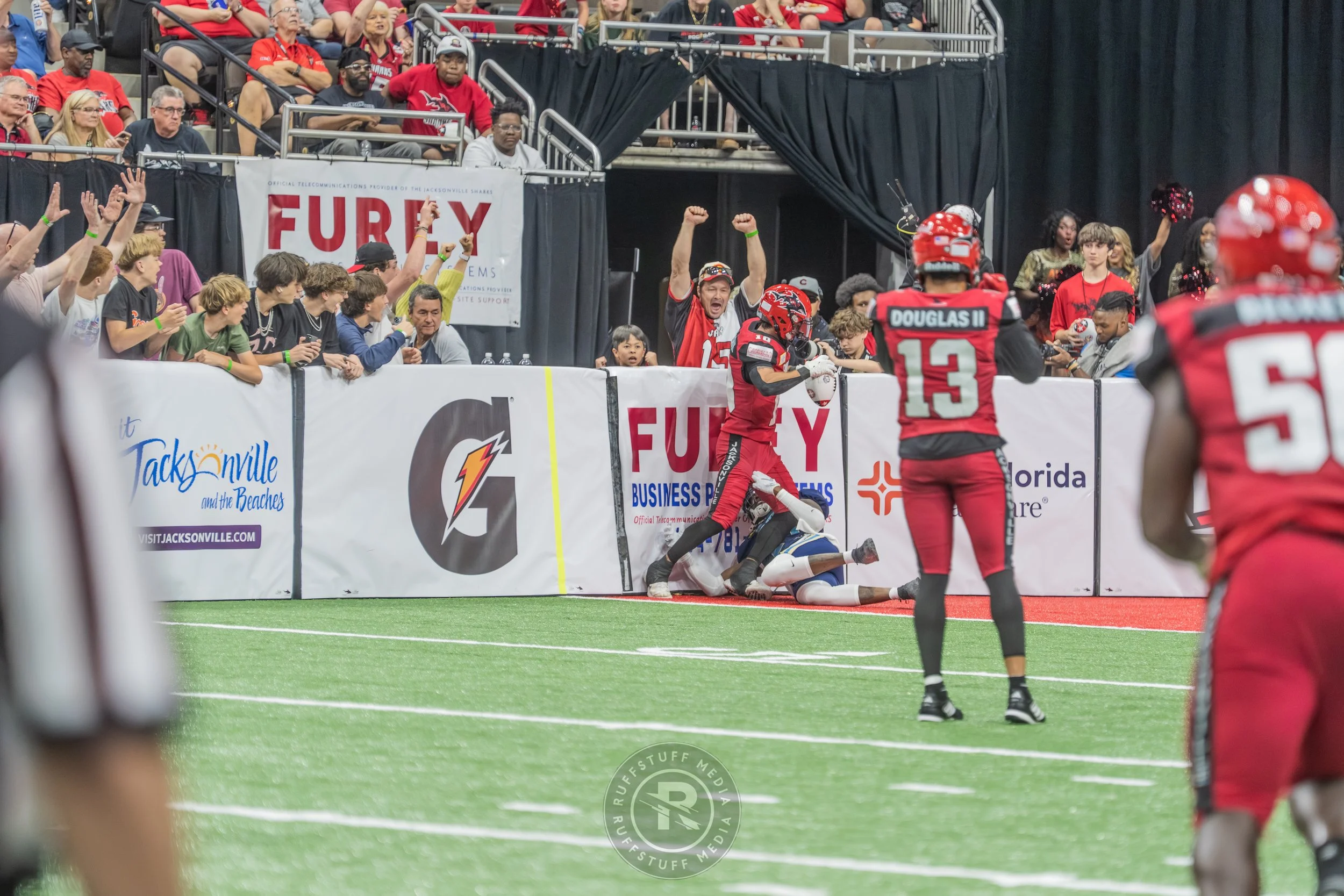 Sharks 260417-517.JPG