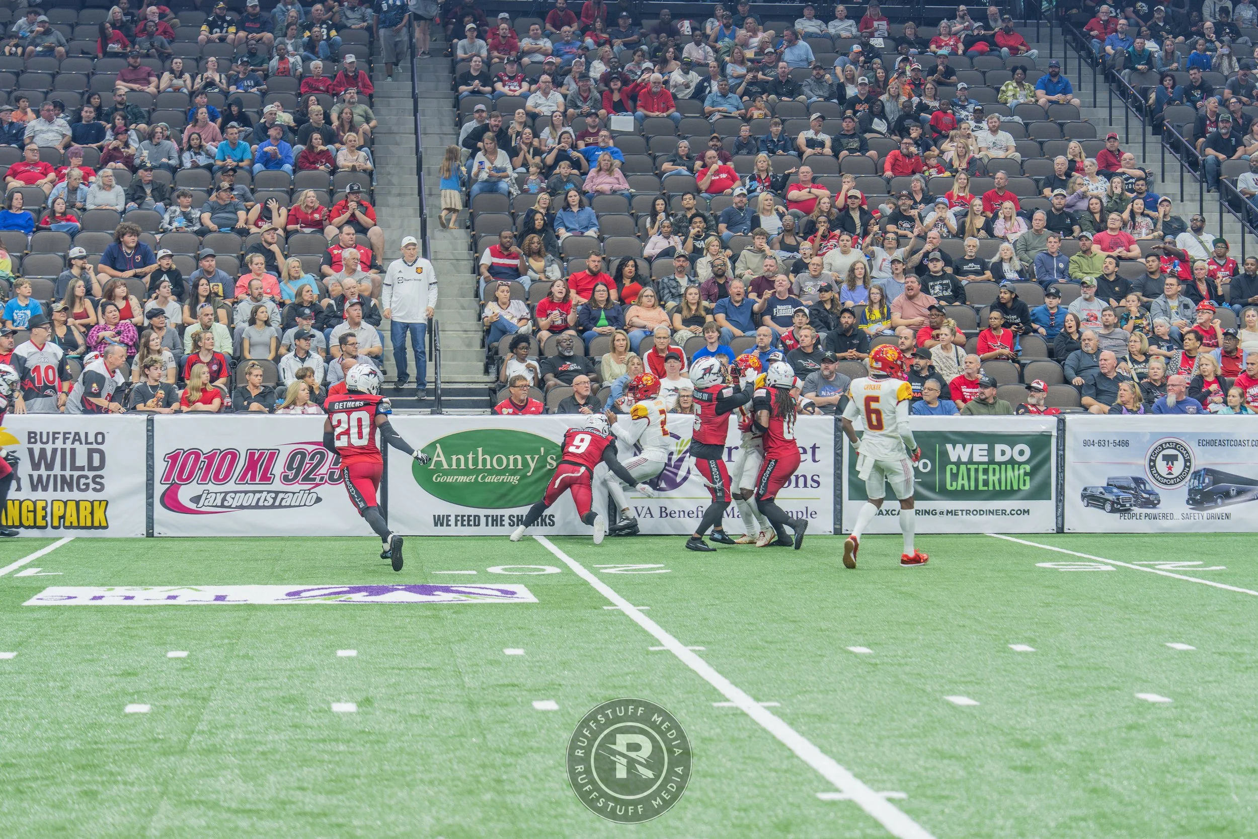 Sharks 260502-115.JPG