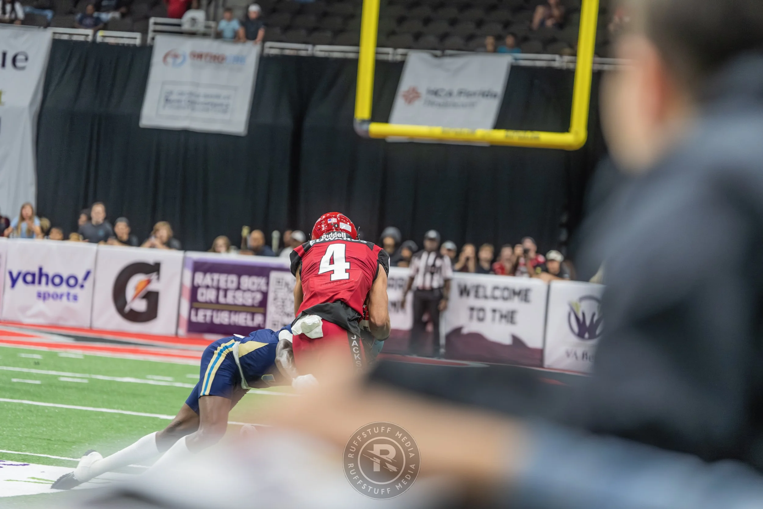 Sharks 260417-515.JPG