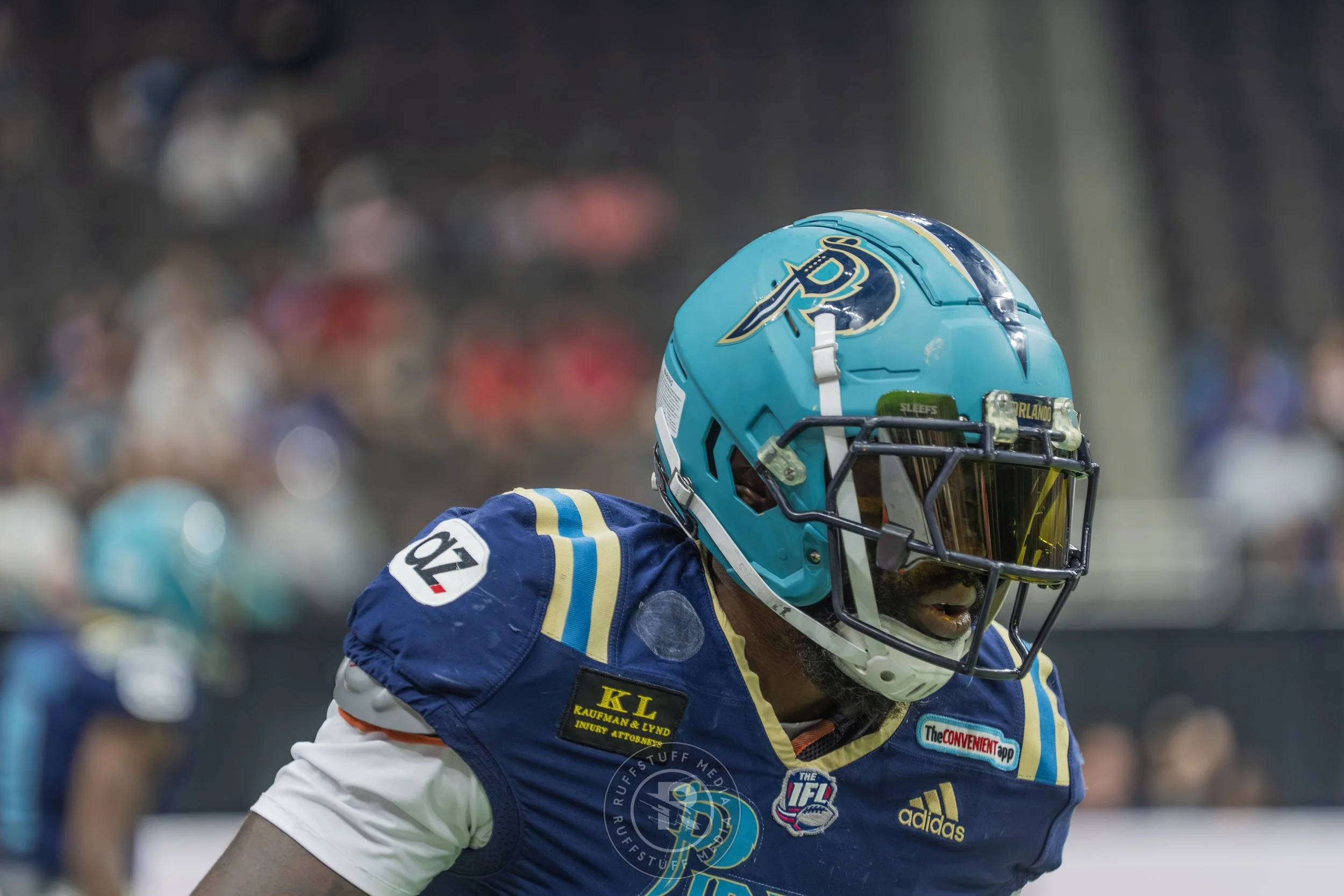 Sharks 260417-113.JPG