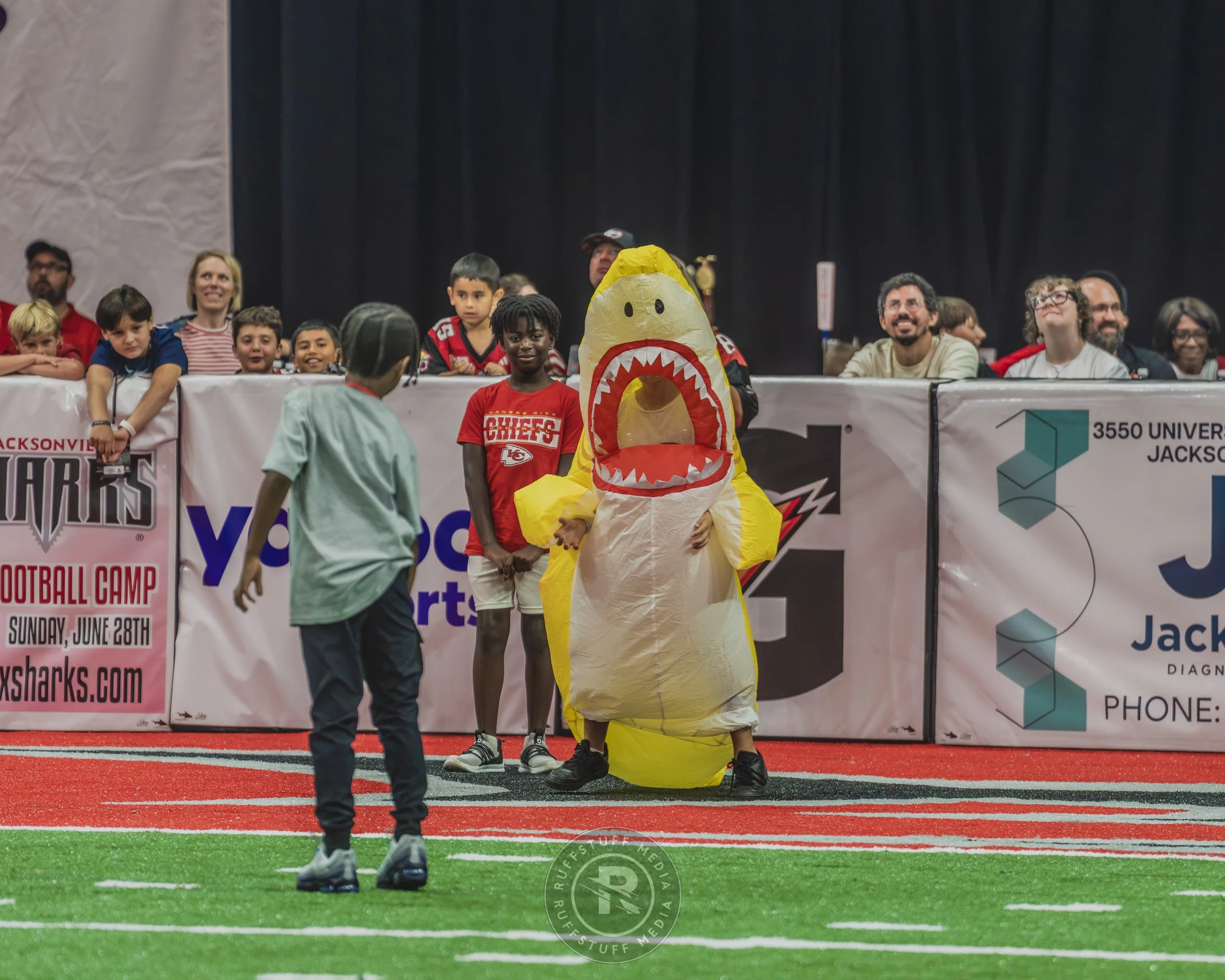 Sharks 260628-460.JPG
