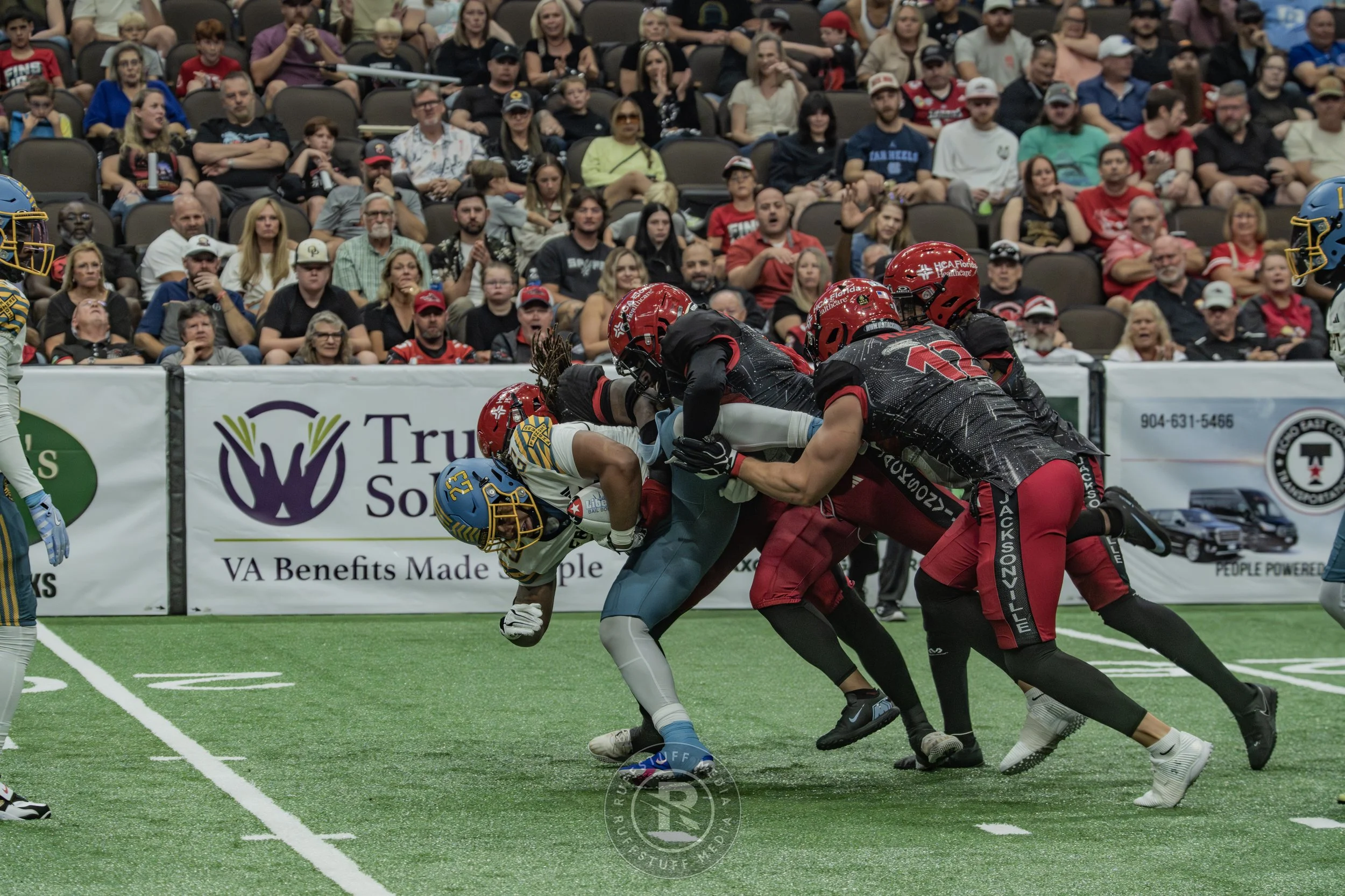 Sharks 260530-533.JPG