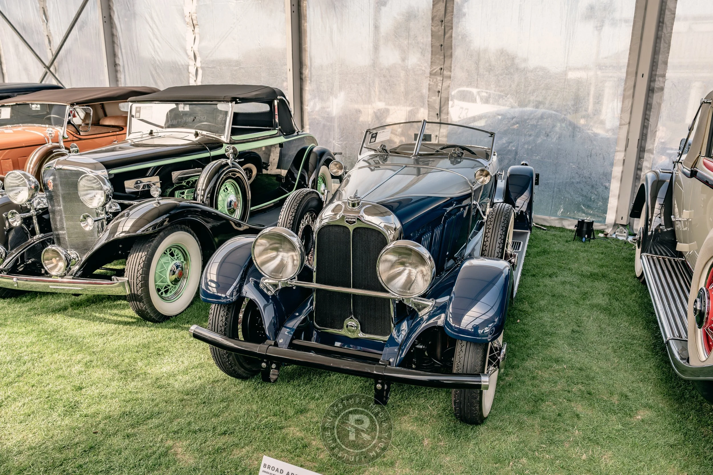 Amelia 260305-13_resize.JPG