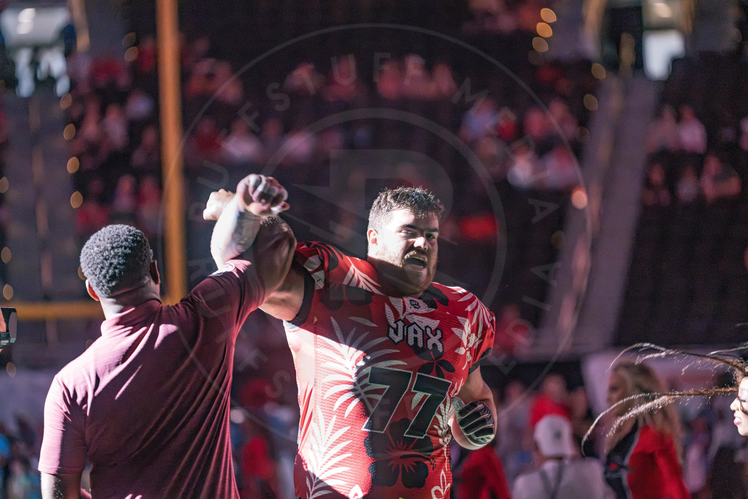 Sharks 260718-14.JPG