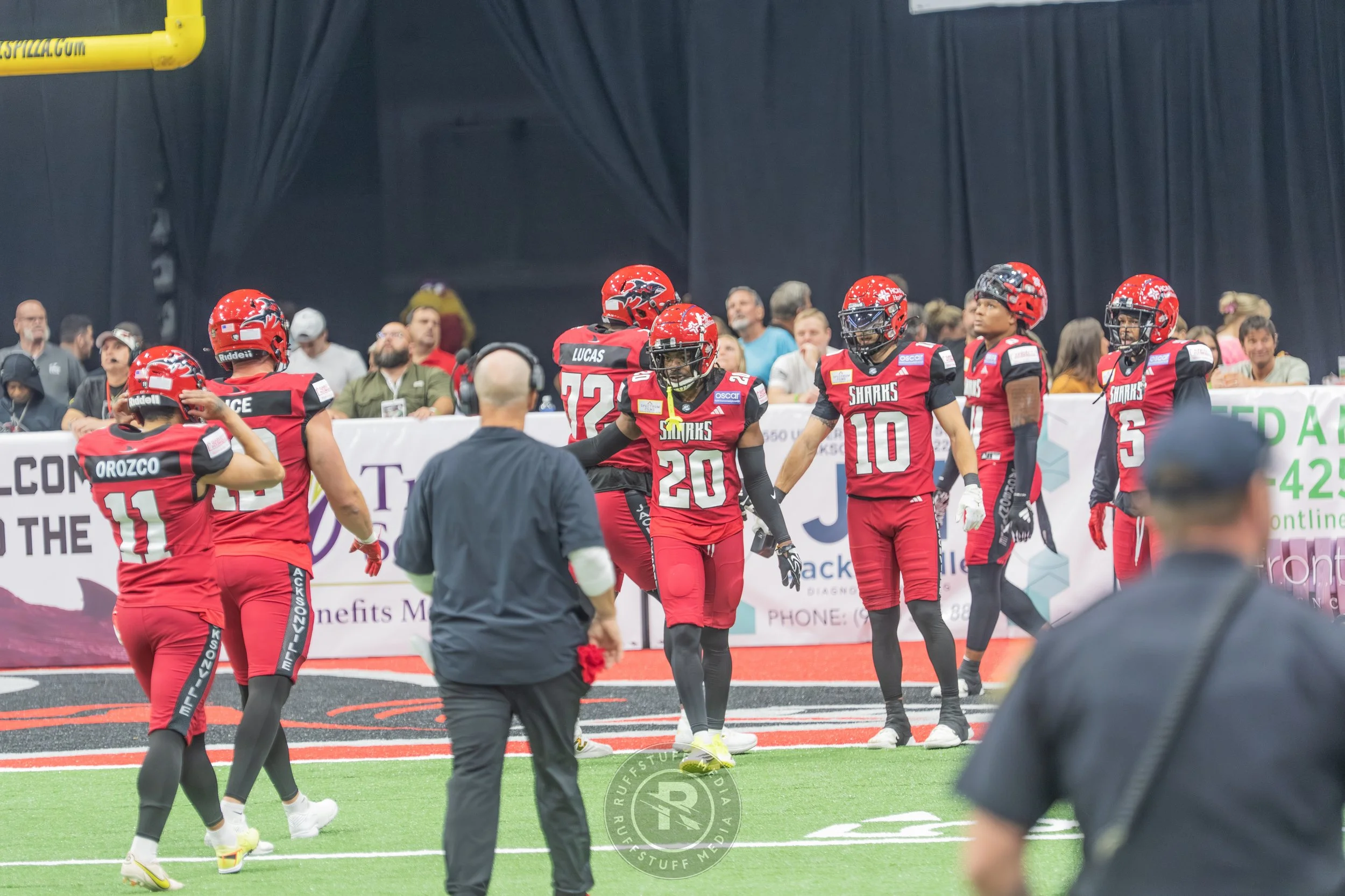 Sharks 260417-151_resize.JPG