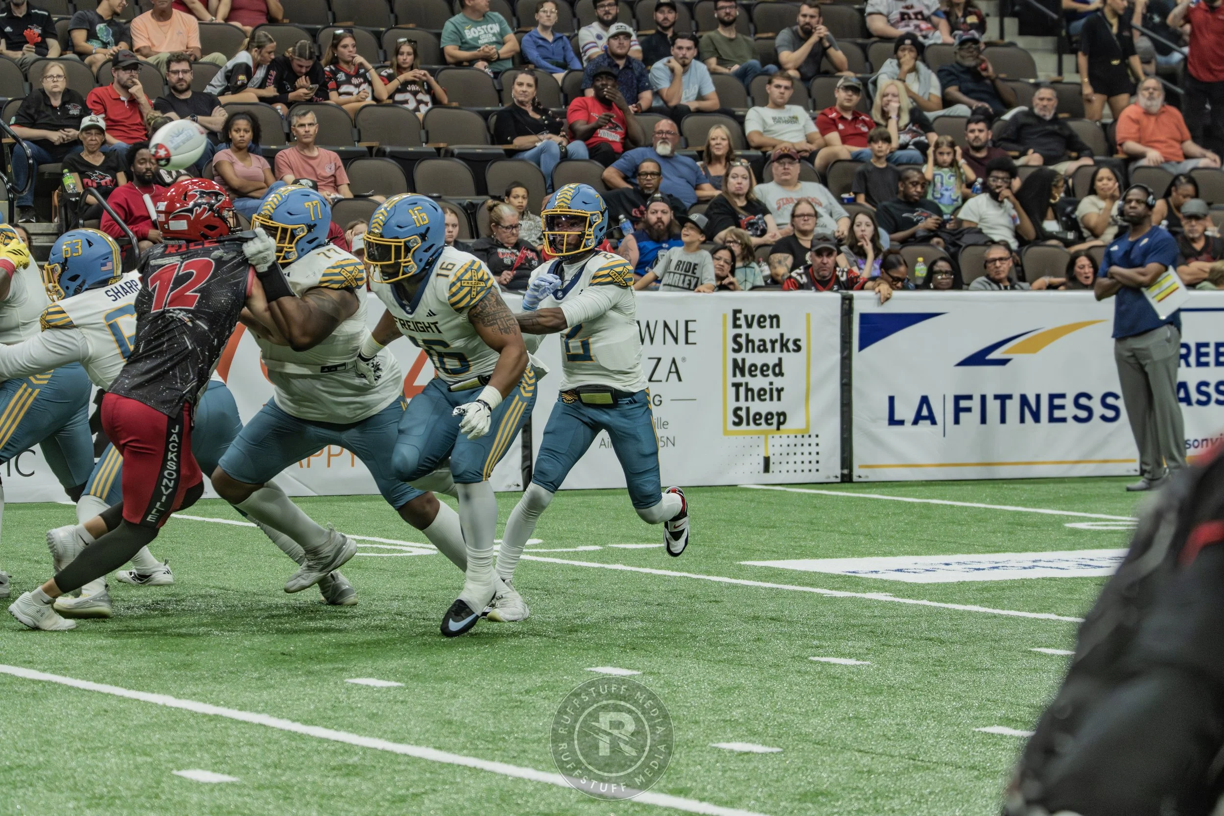 Sharks 260530-601.JPG