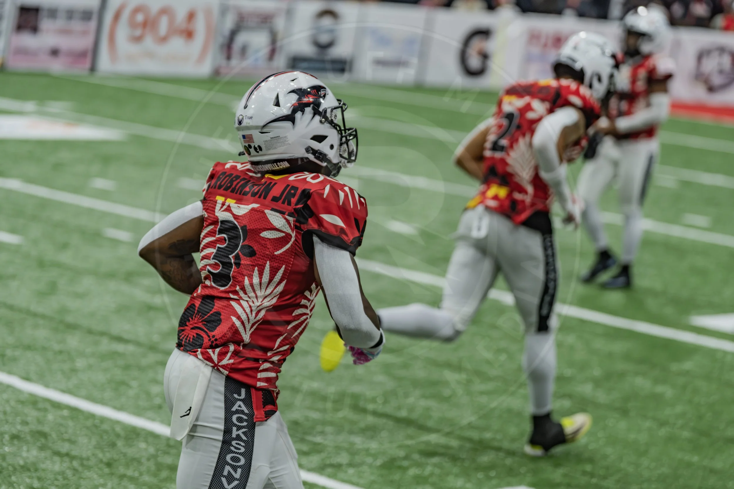 Sharks 260718-39.JPG